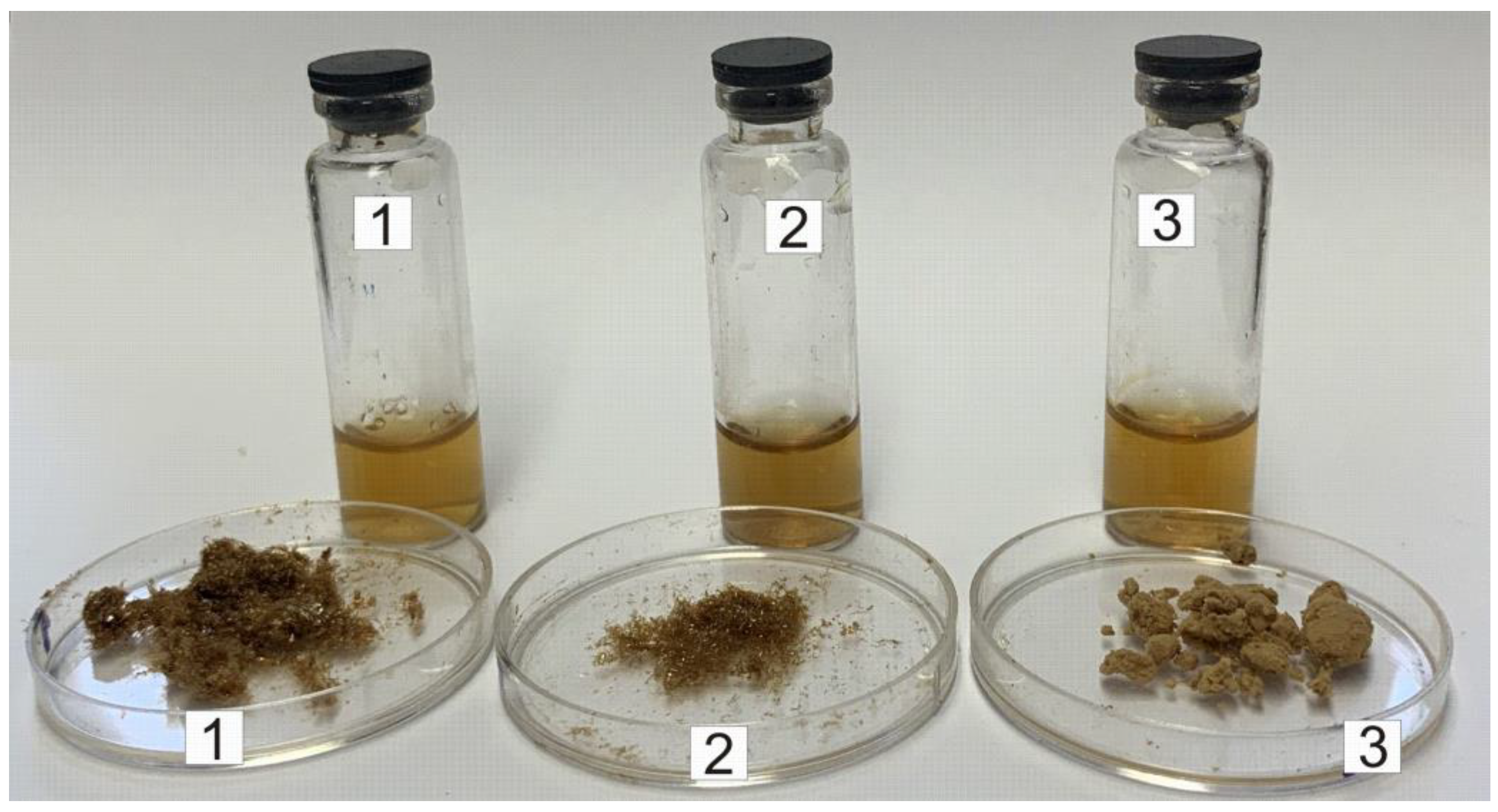 Polymers 16 01736 g001