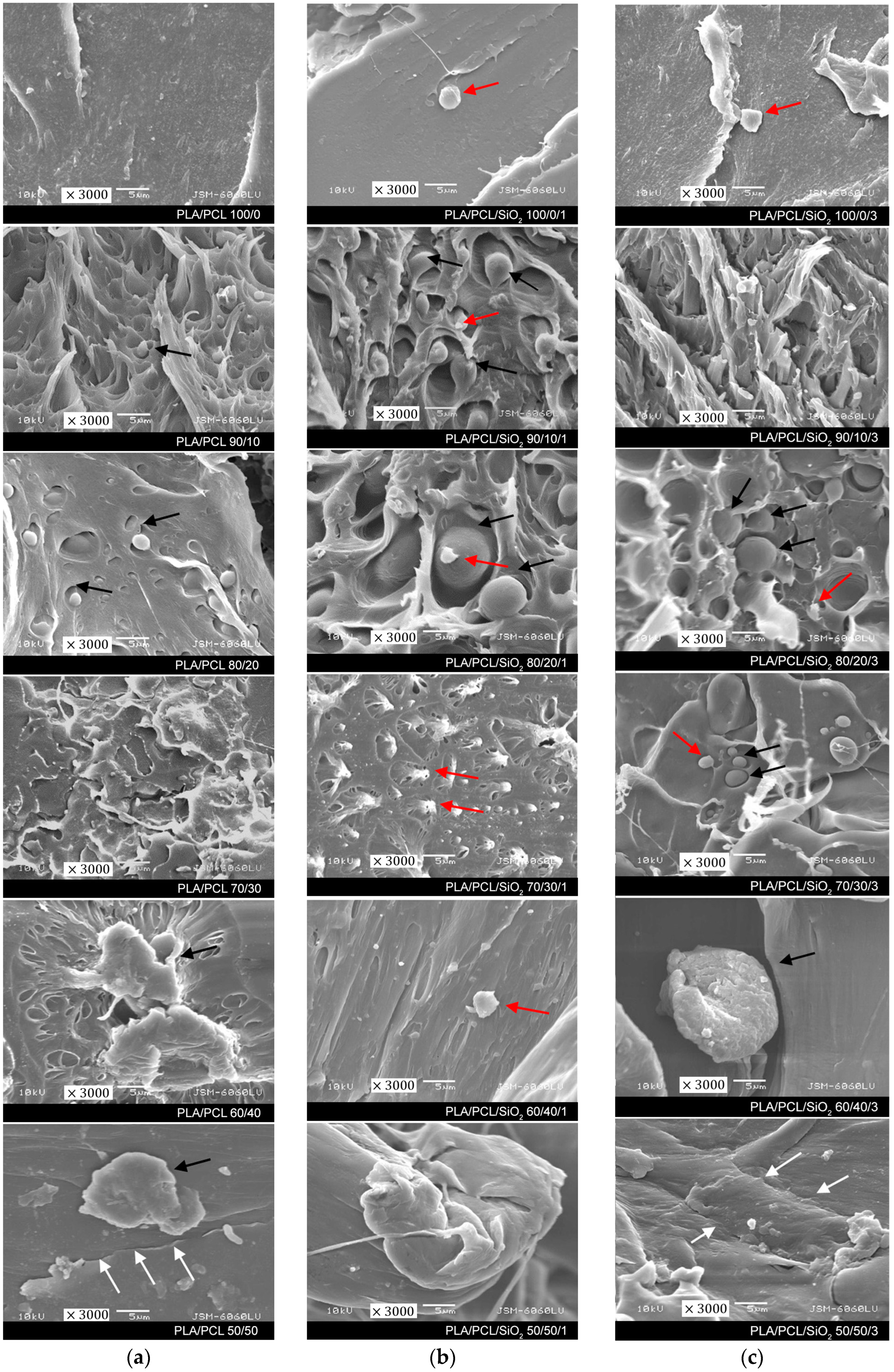 Polymers 16 01739 g001