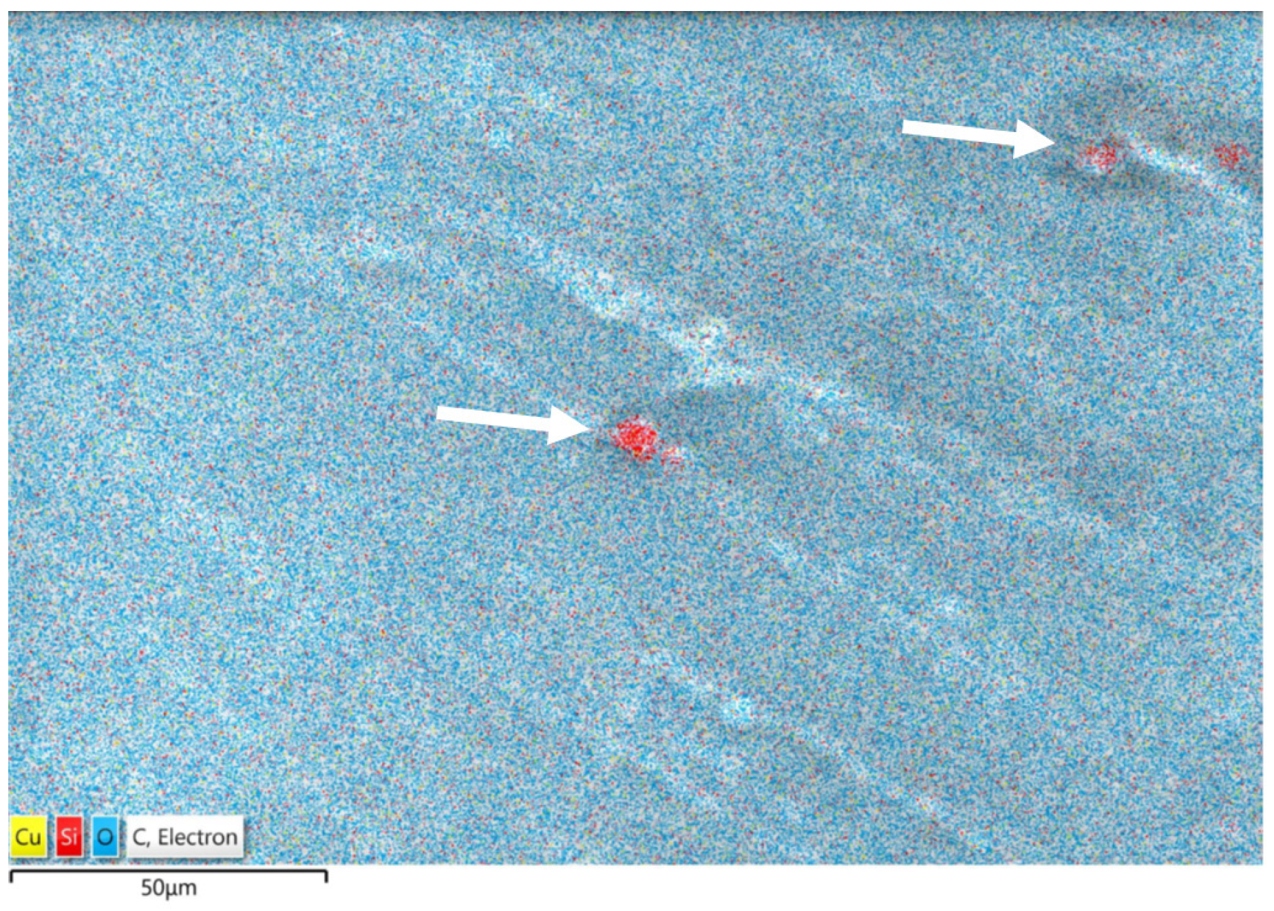 Polymers 16 01739 g007