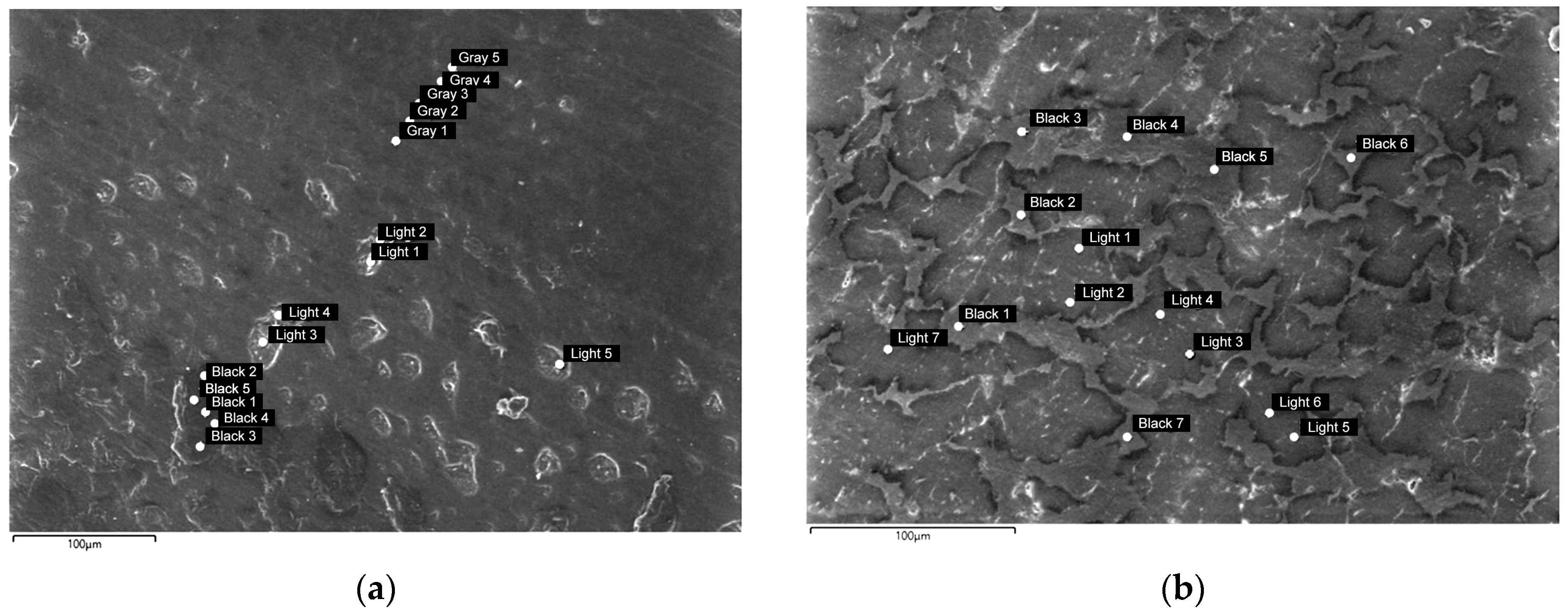 Polymers 16 01739 g009