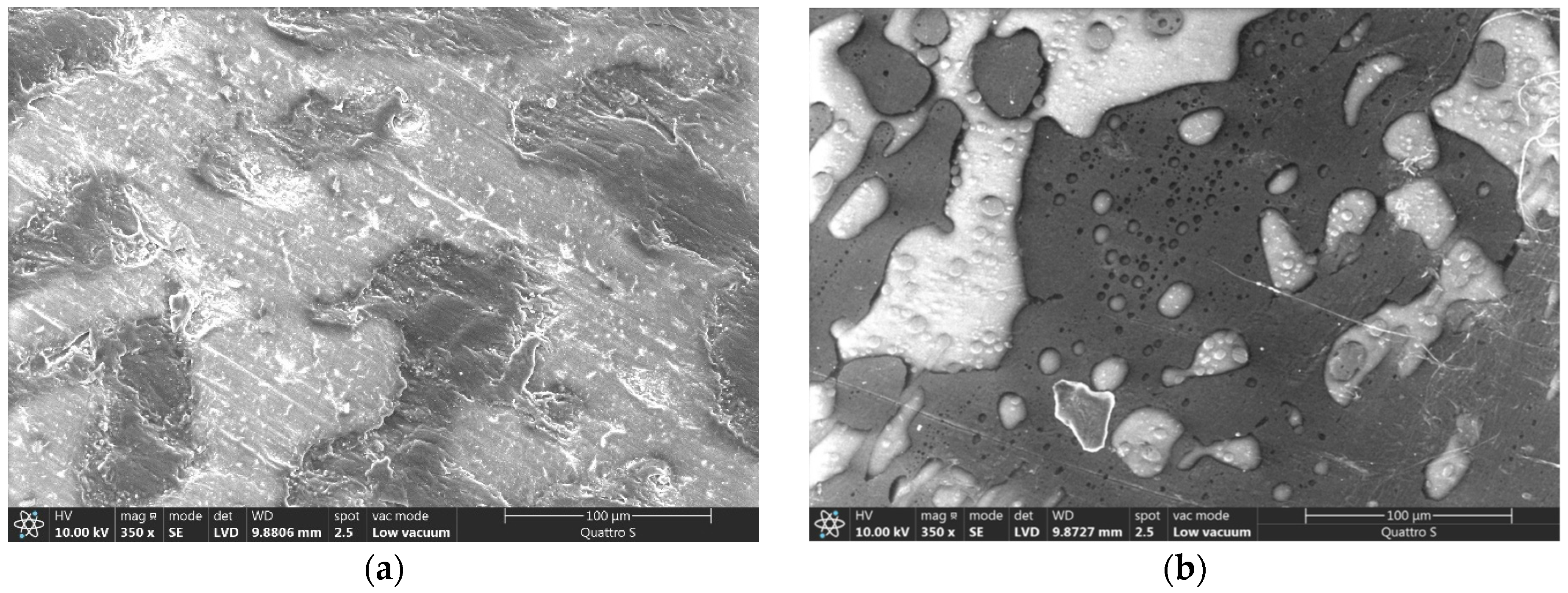 Polymers 16 01739 g010