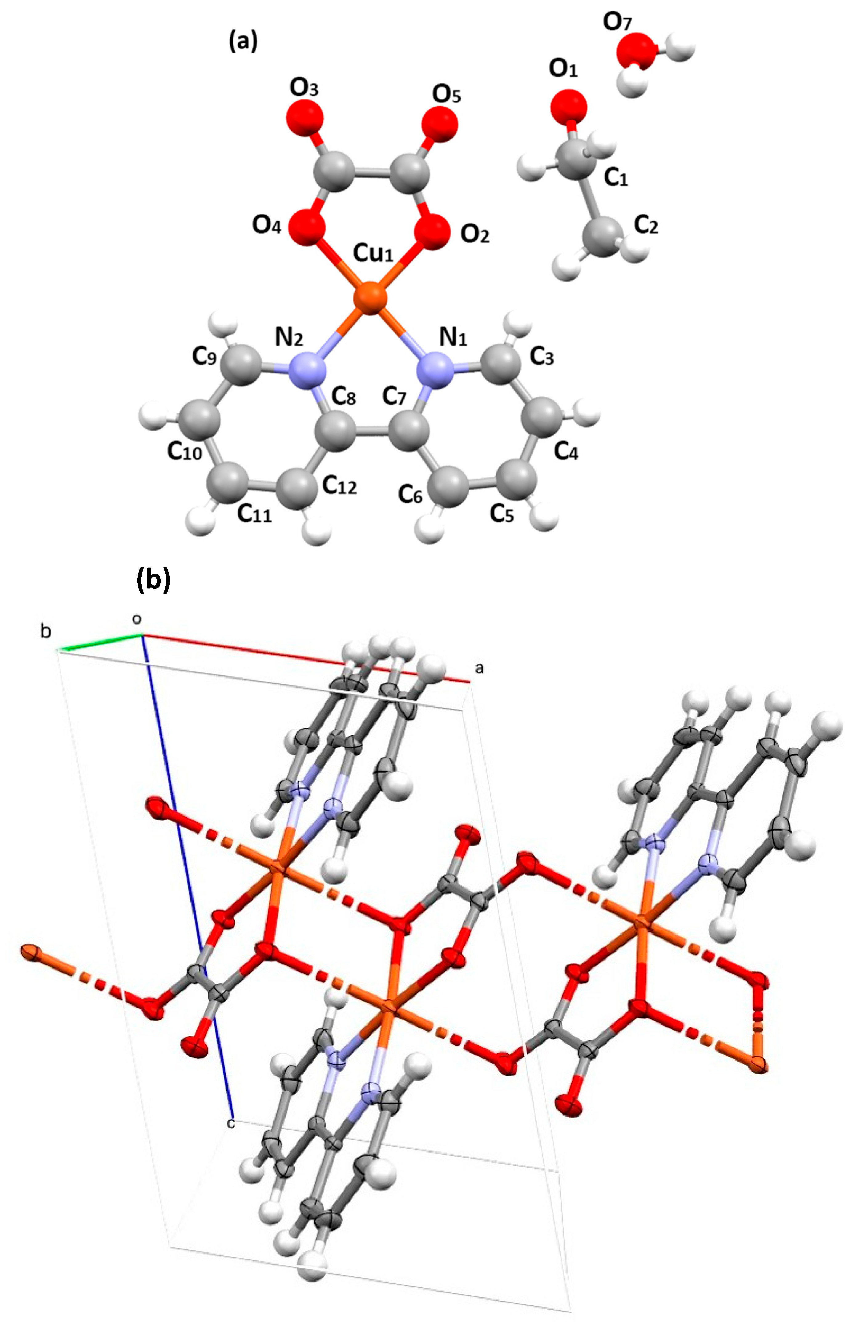 Polymers 16 01742 g003