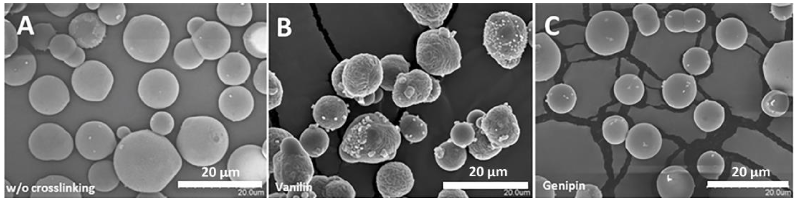Polymers 16 01748 g002