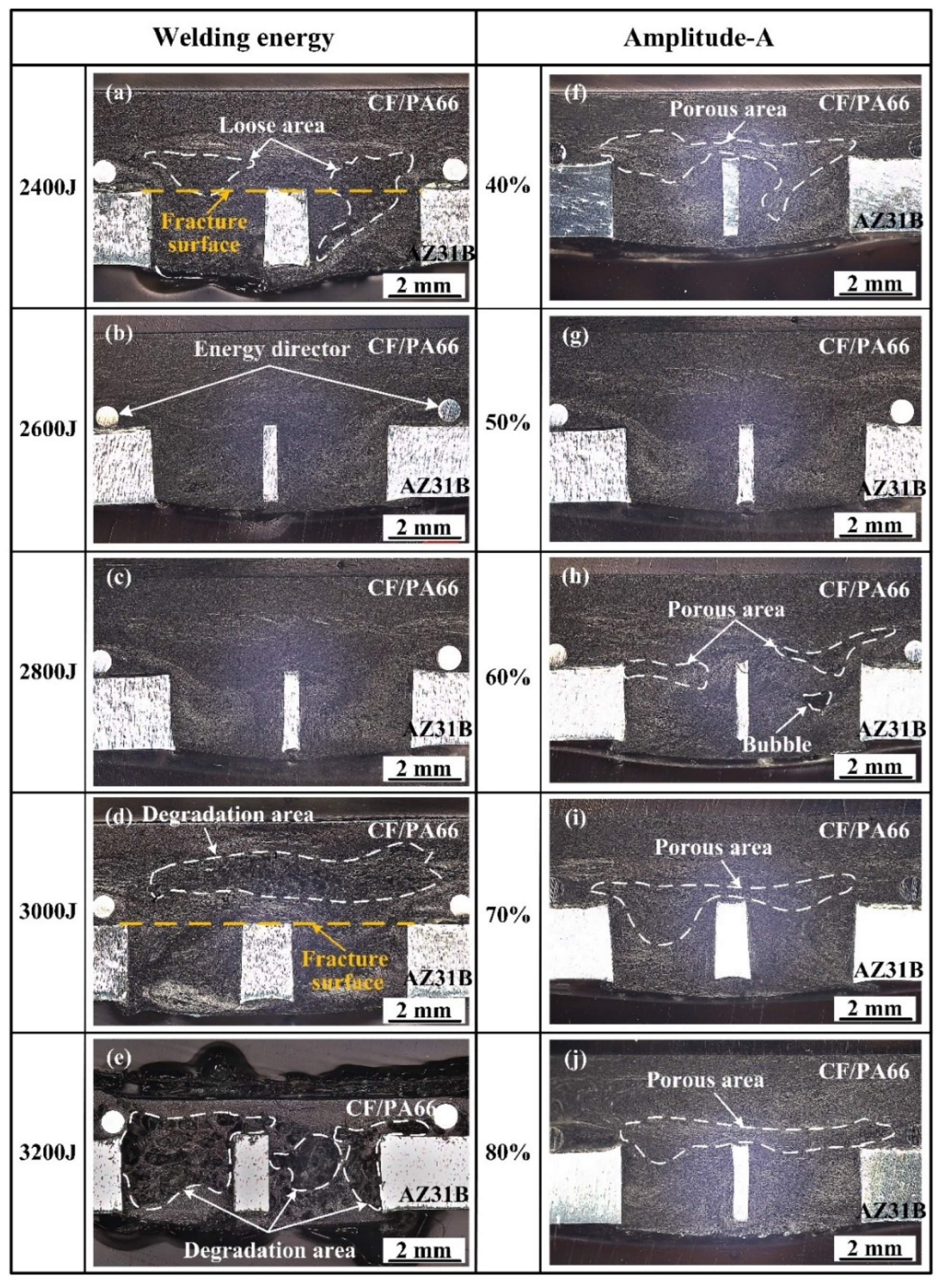 Polymers 16 01749 g007