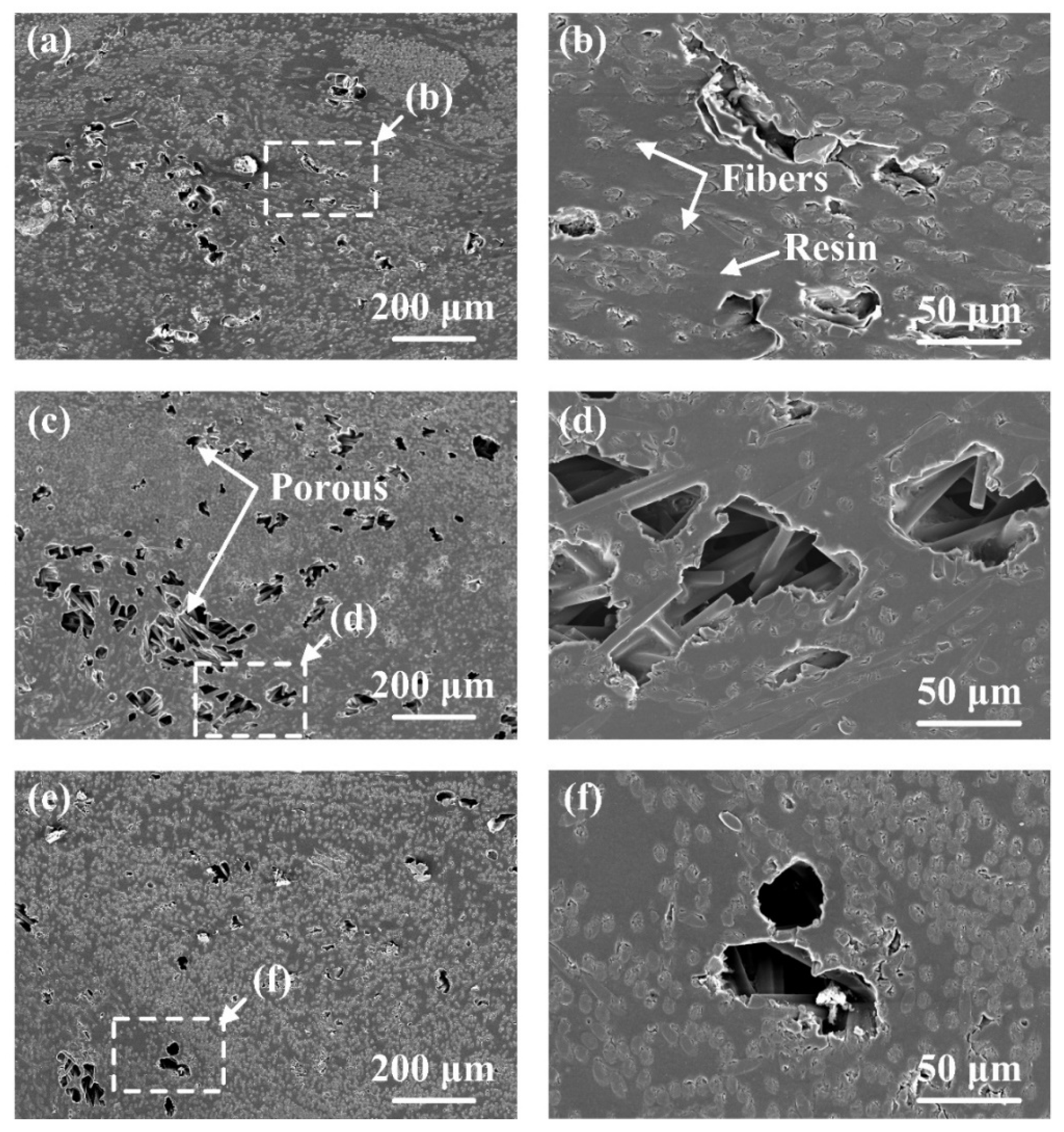 Polymers 16 01749 g009