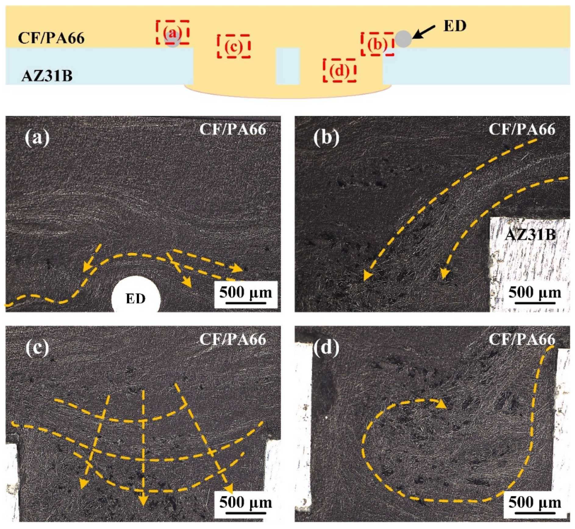 Polymers 16 01749 g010