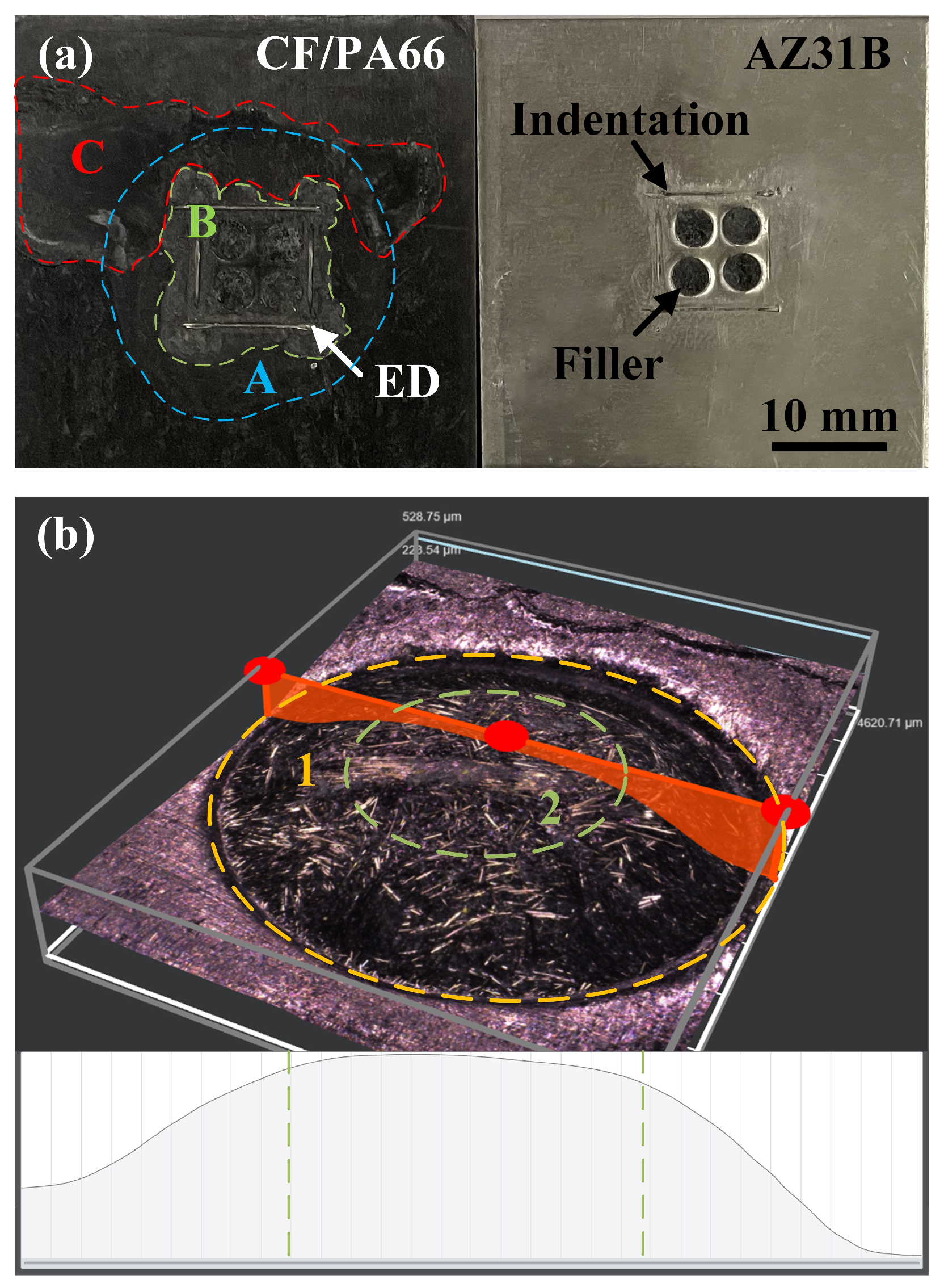 Polymers 16 01749 g012