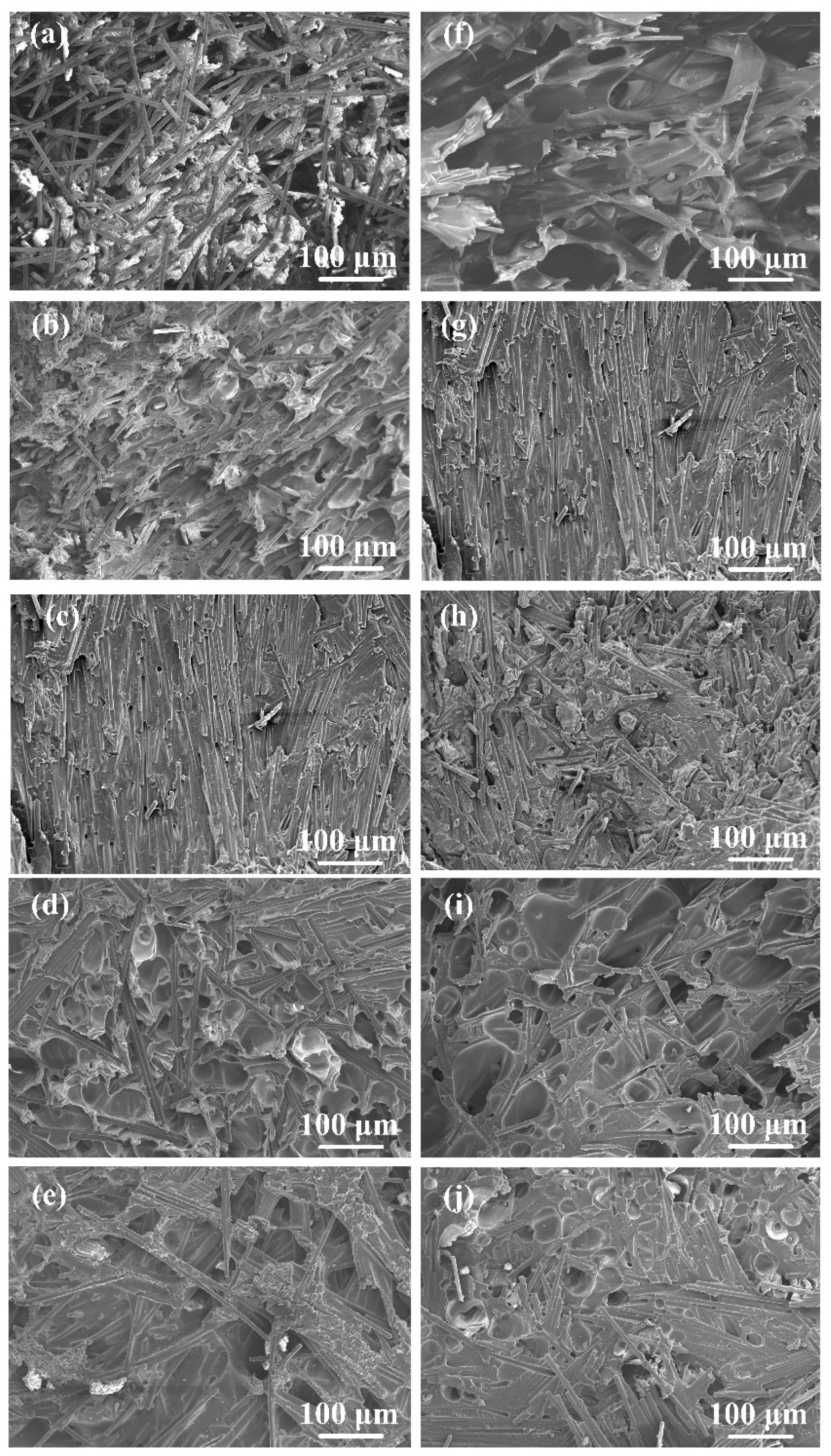 Polymers 16 01749 g014
