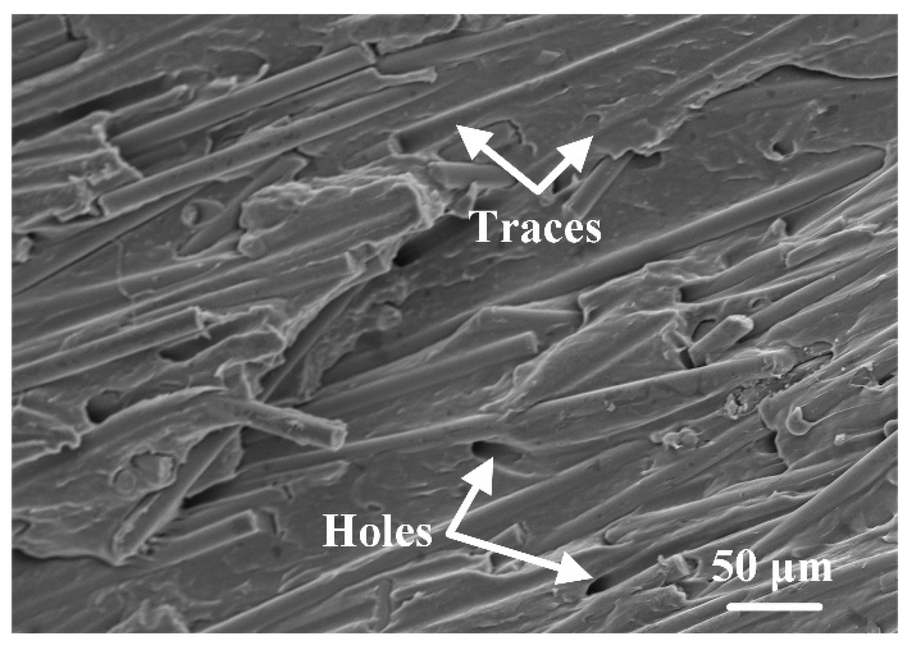 Polymers 16 01749 g015