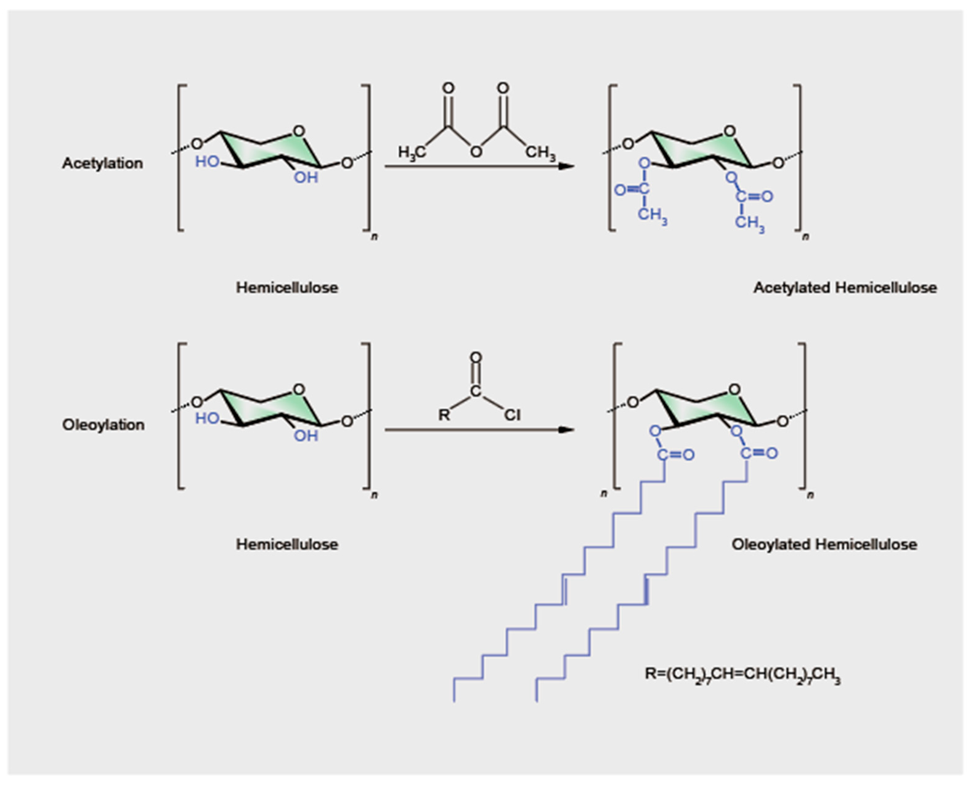 Polymers 16 01750 g003 Polymers 16 01750 g003