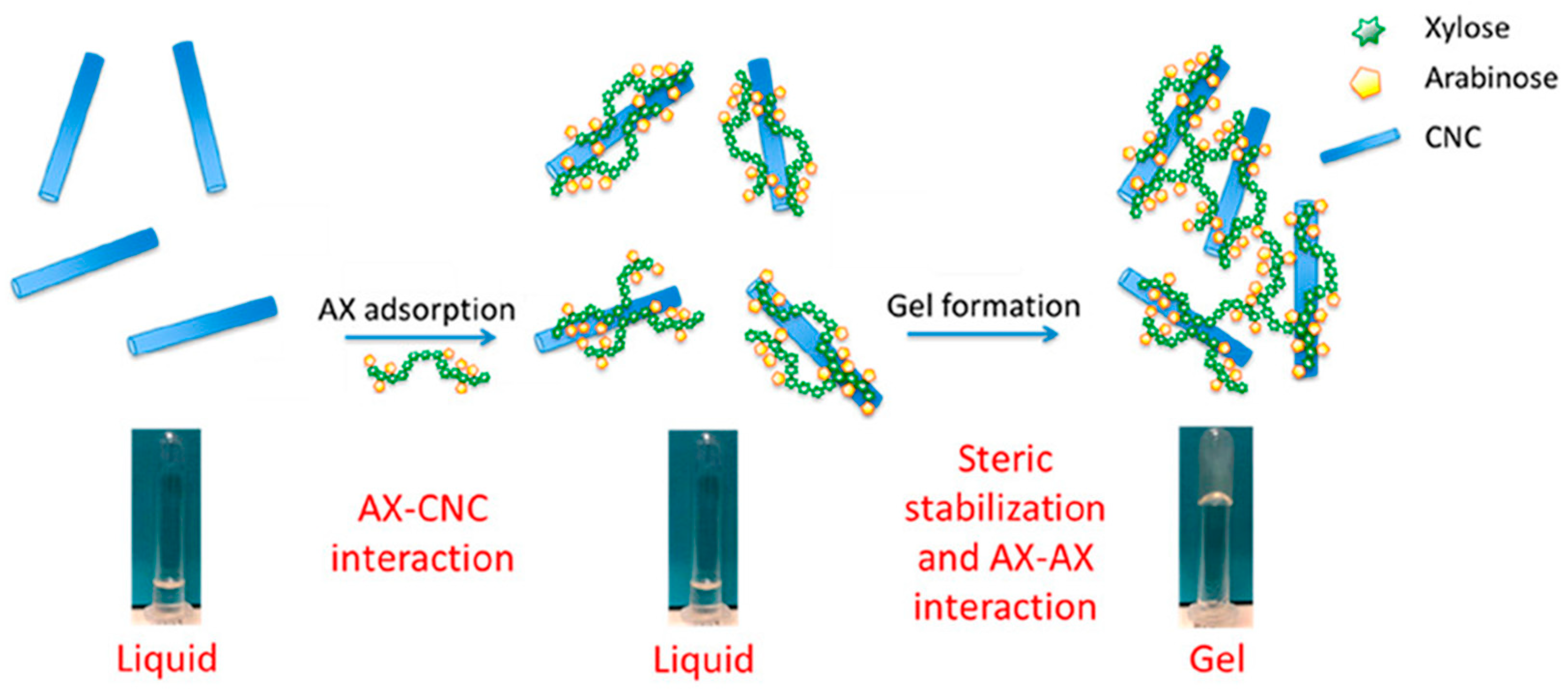 Polymers 16 01750 g006 Polymers 16 01750 g006