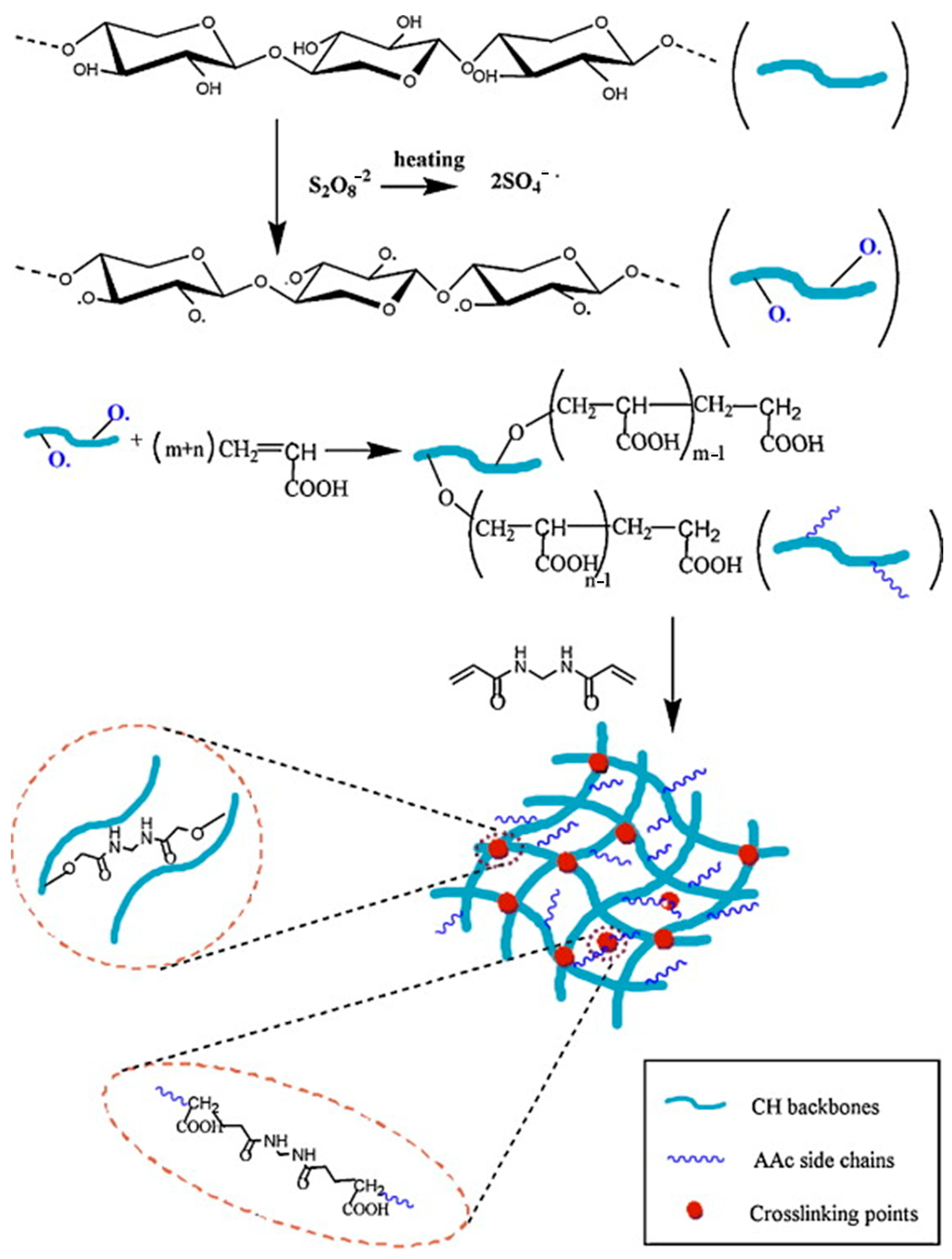 Polymers 16 01750 g007 Polymers 16 01750 g007