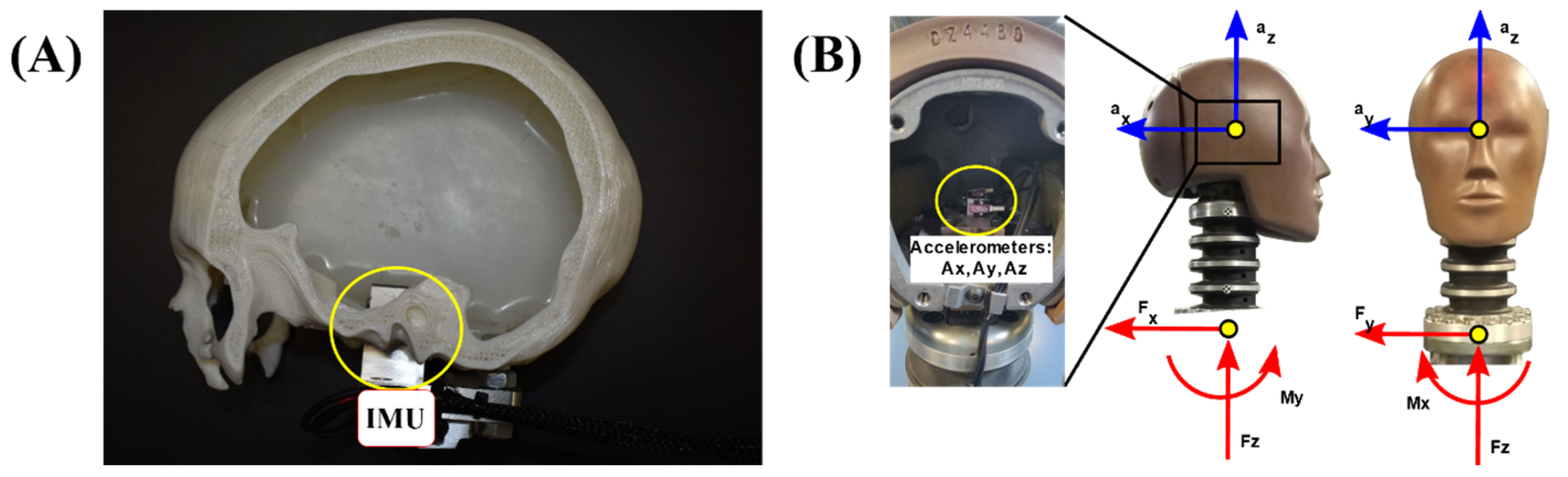 Polymers 16 01753 g003