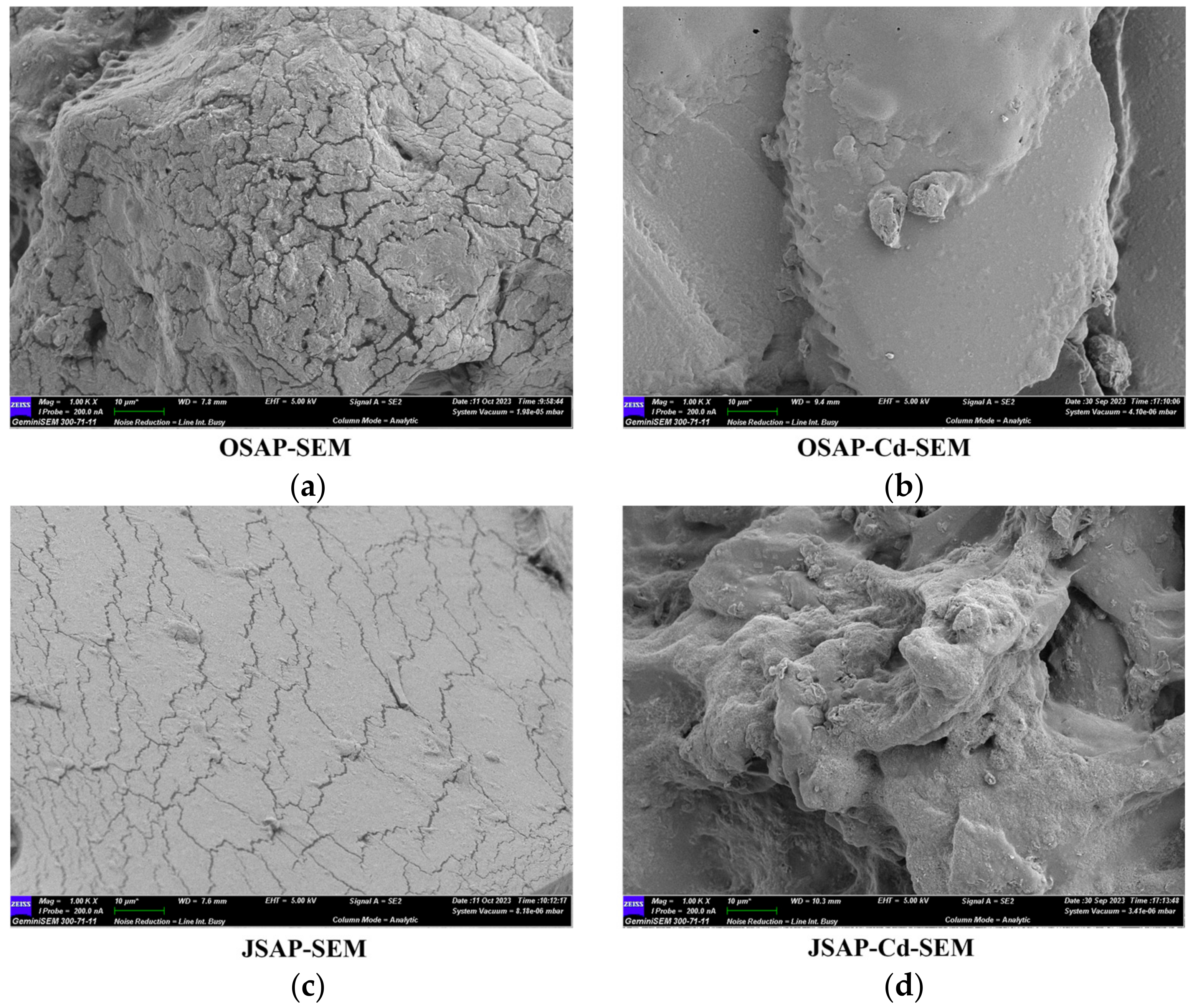 Polymers 16 01756 g010 Polymers 16 01756 g010