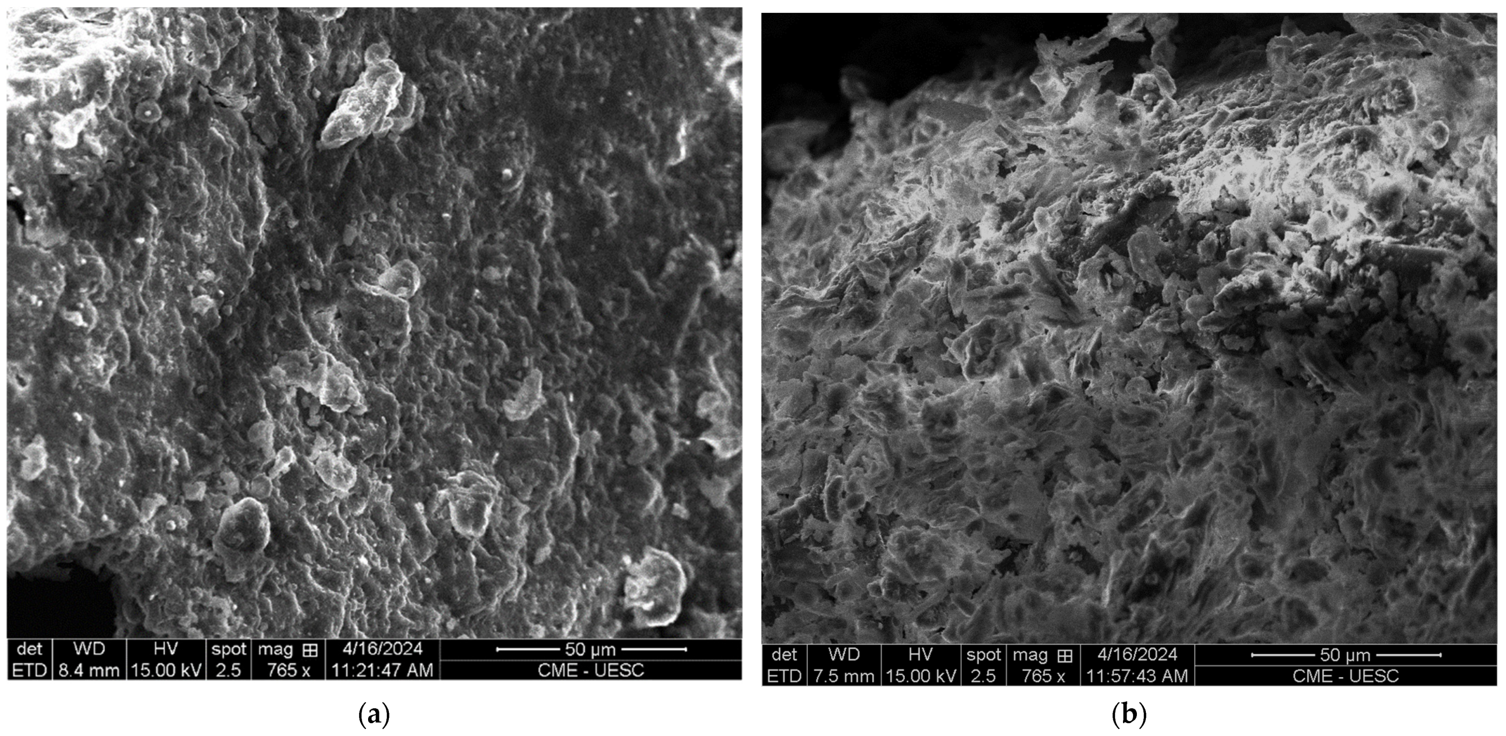 Polymers 16 01757 g004