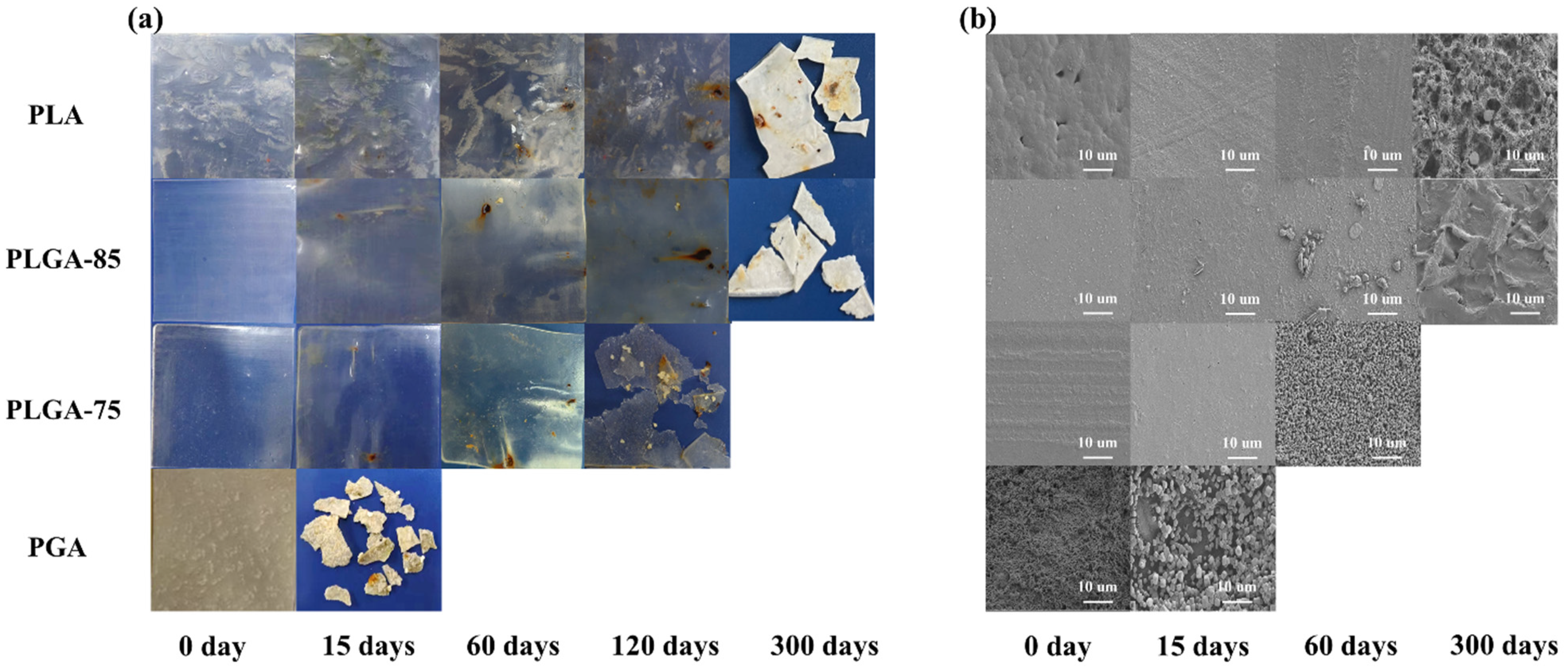 Polymers 16 01765 g001