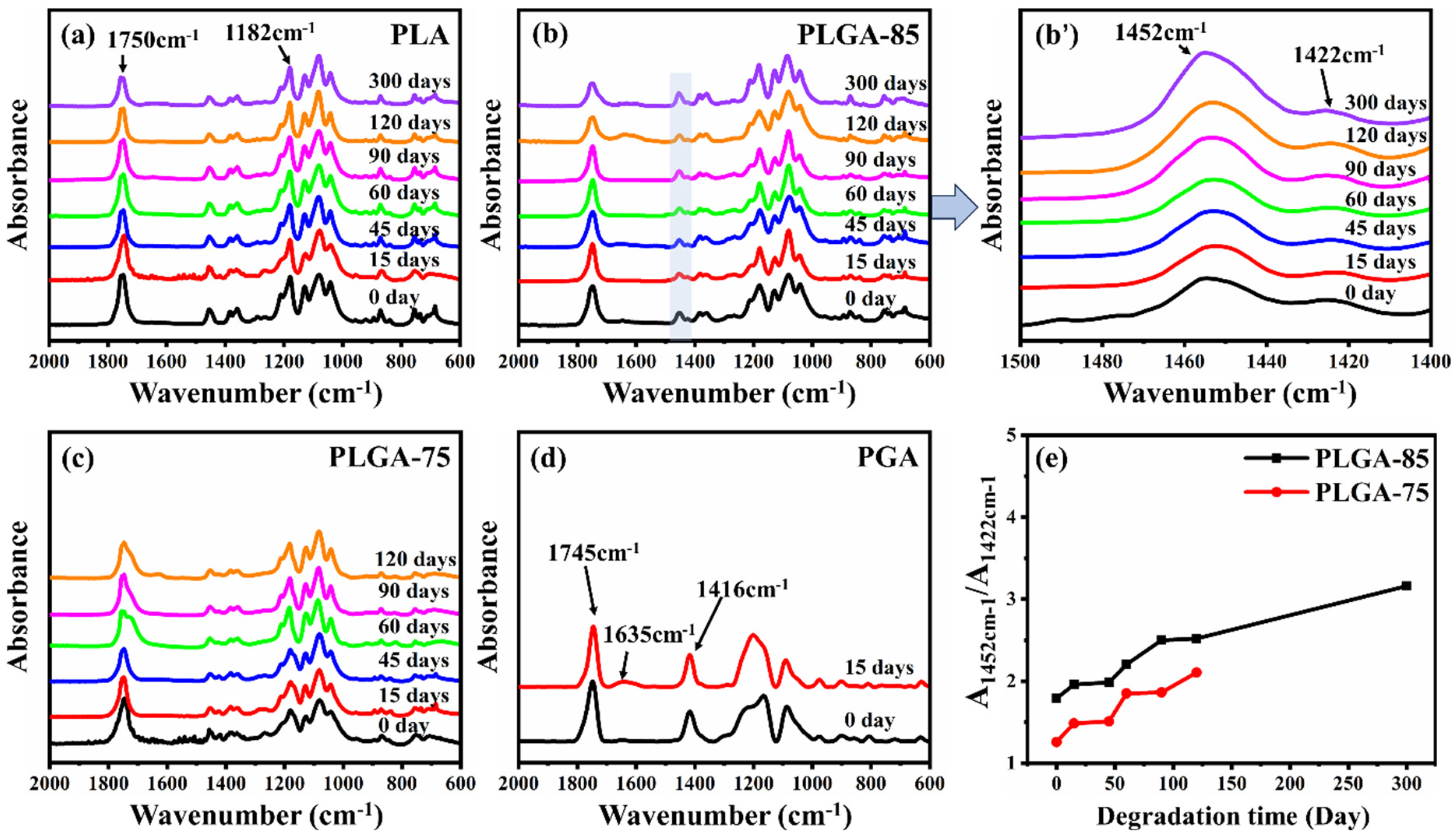 Polymers 16 01765 g005