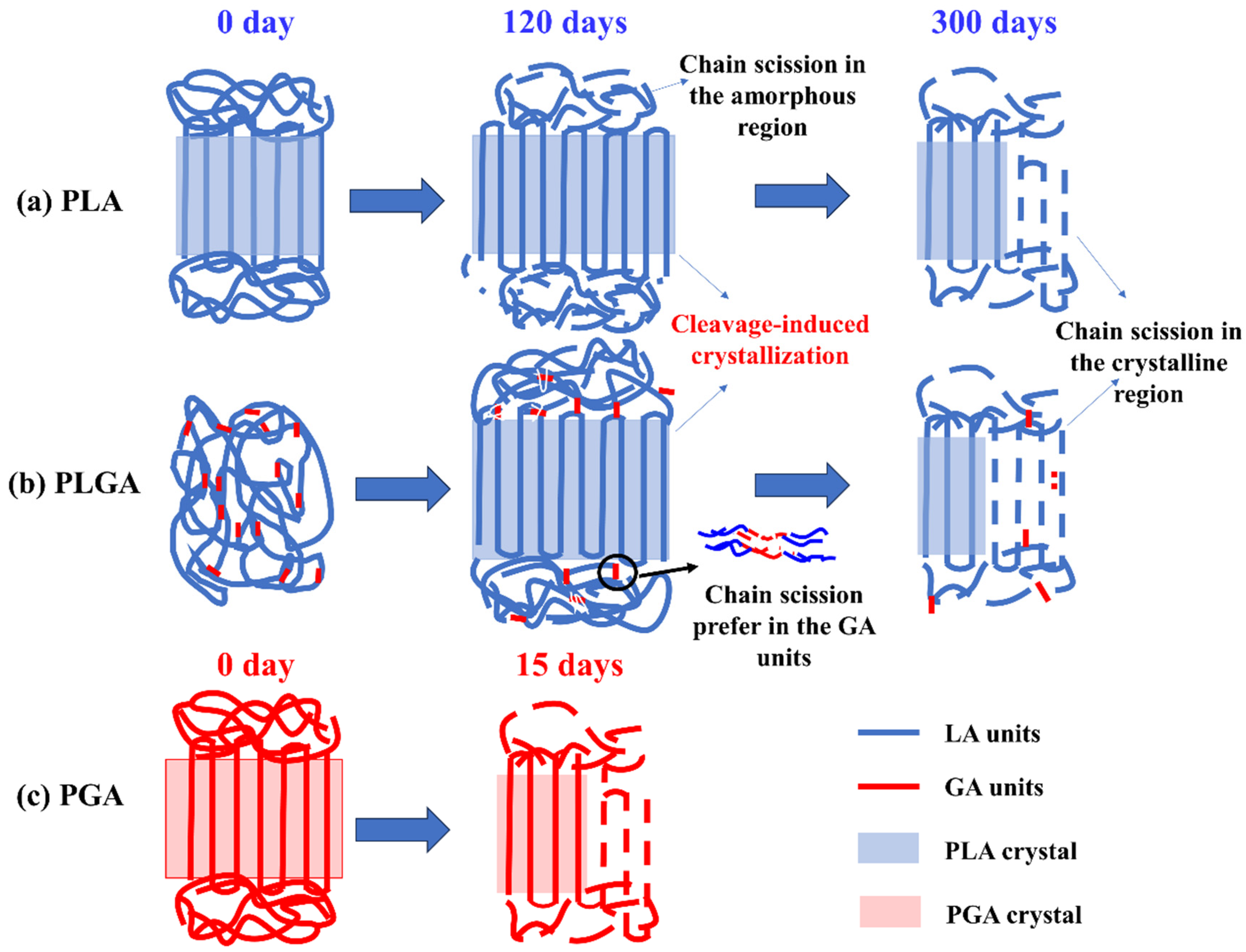 Polymers 16 01765 g008