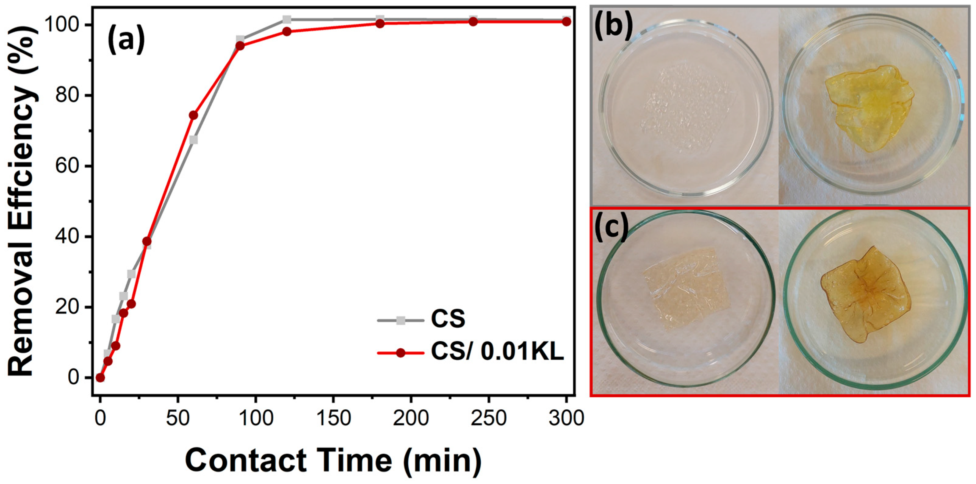 Polymers 16 01766 g006