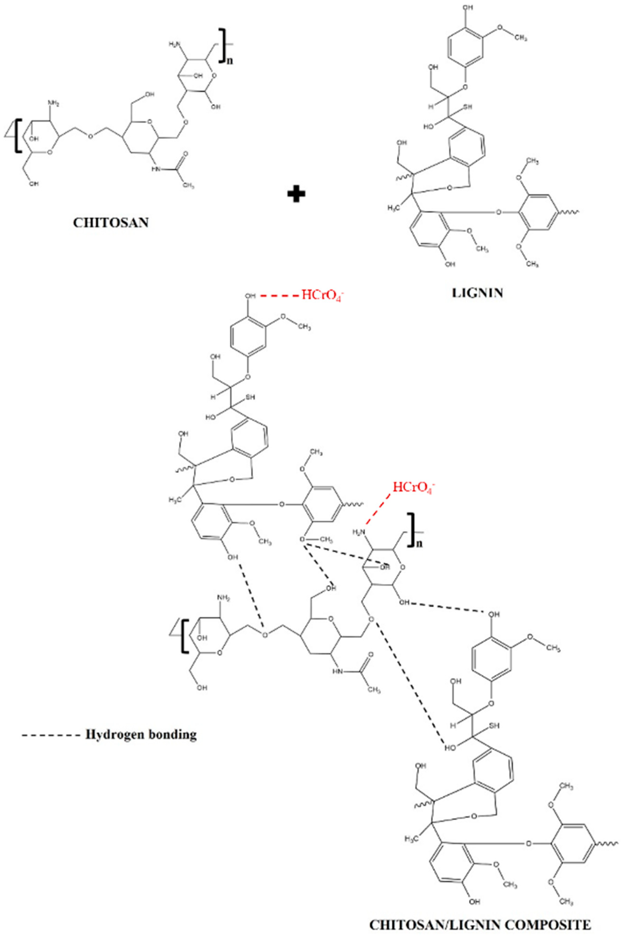 Polymers 16 01766 g009