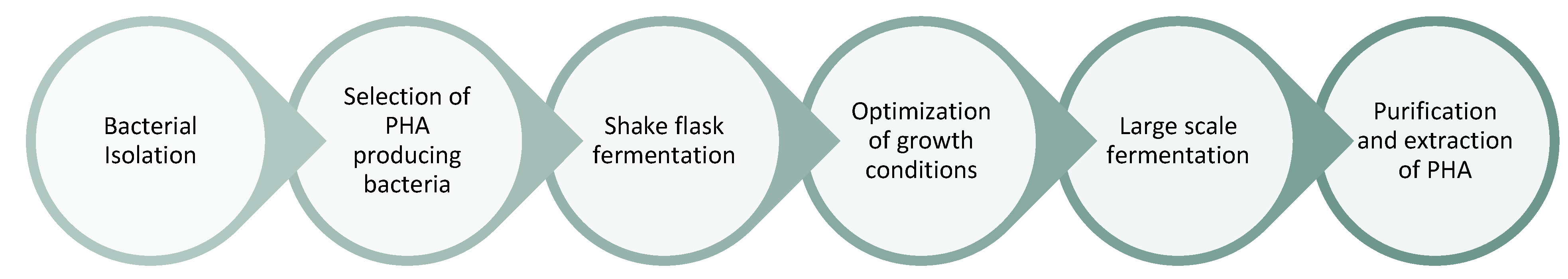 Polymers 16 01769 g006 Polymers 16 01769 g006
