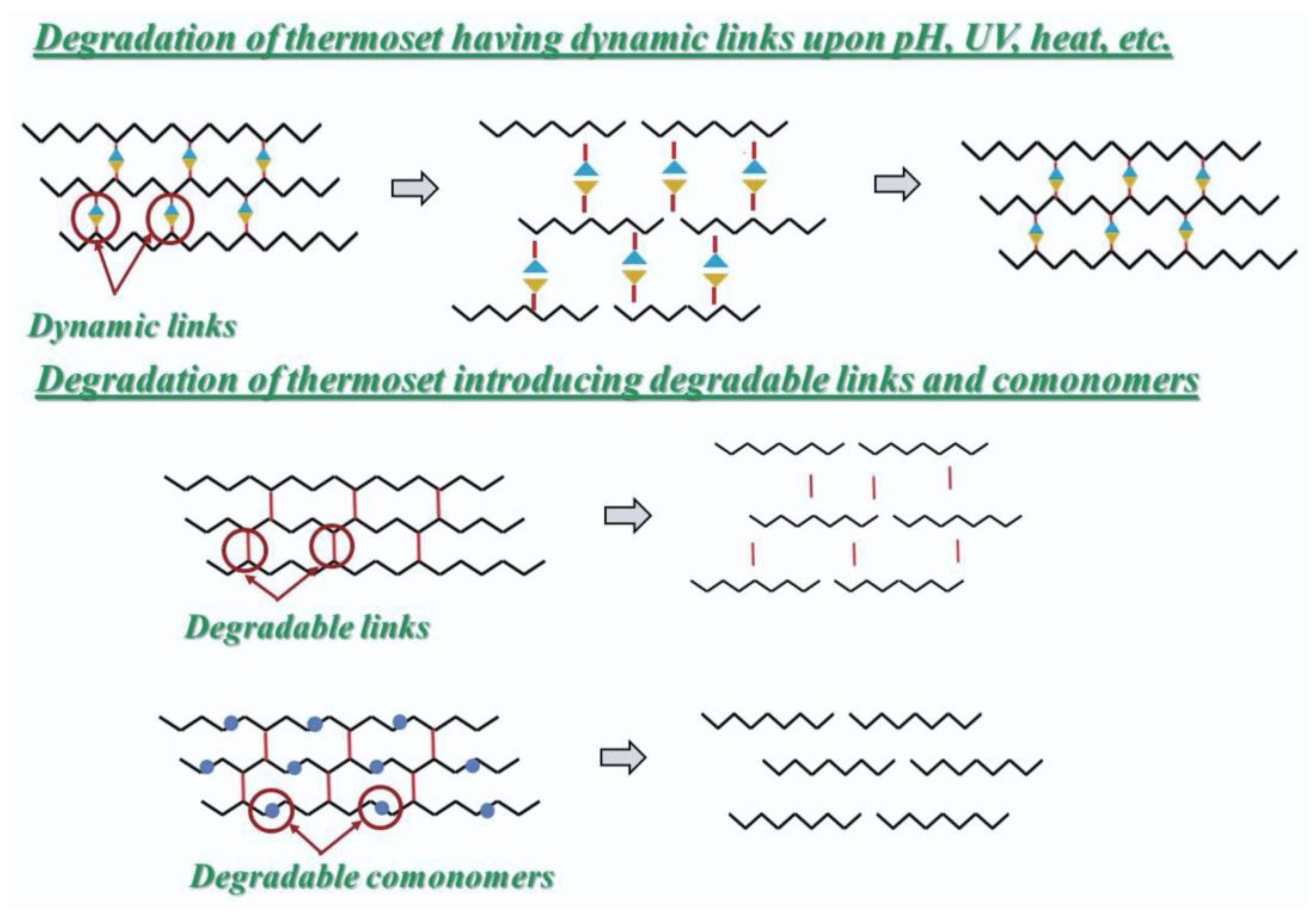 Polymers 16 01769 g009 Polymers 16 01769 g009