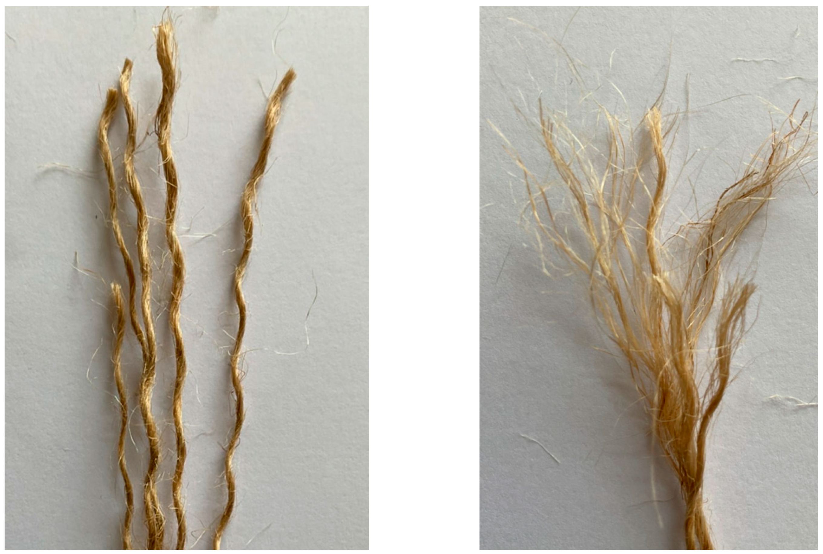 Polymers 16 01774 g004