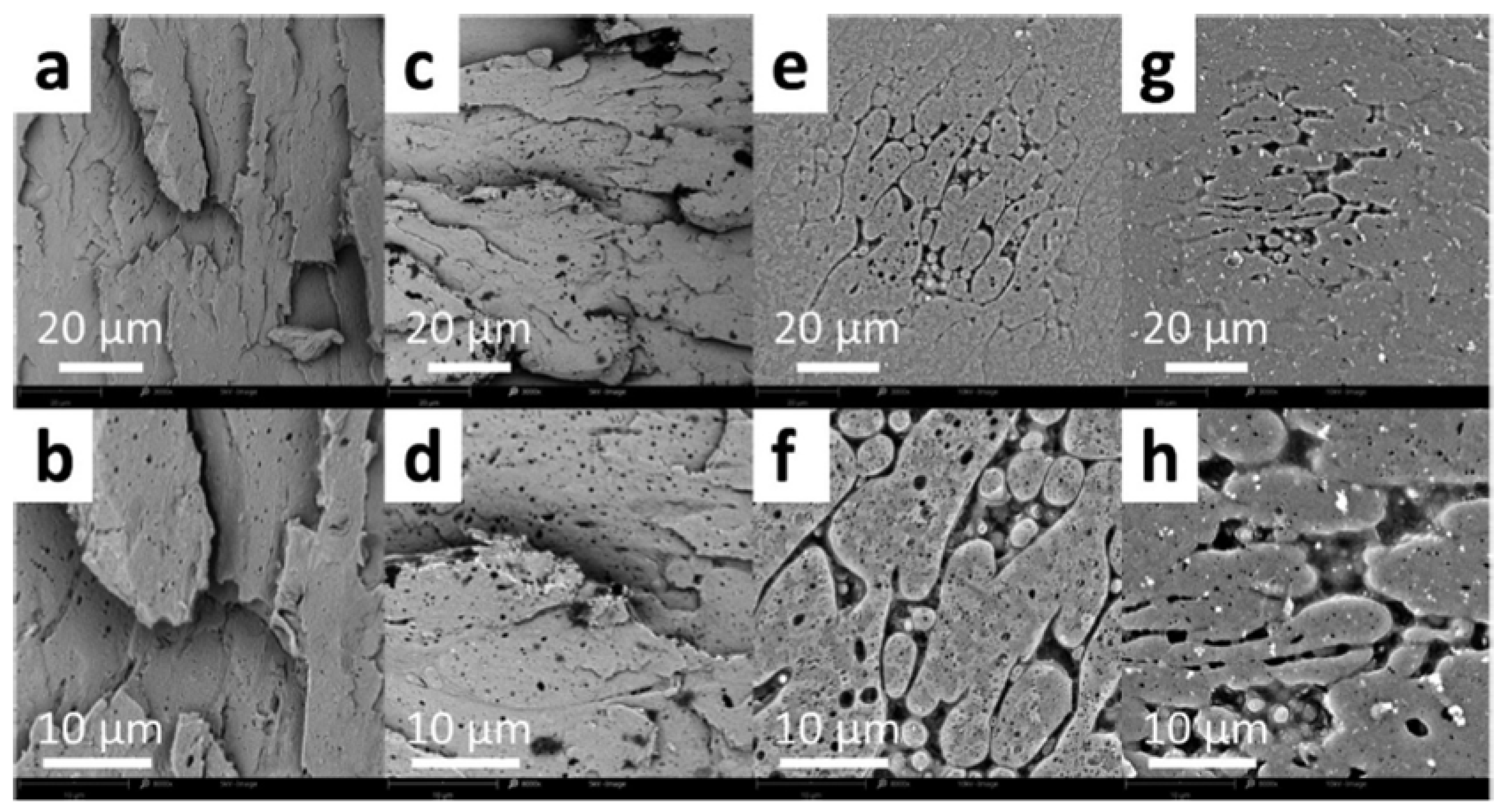 Polymers 16 01776 g013