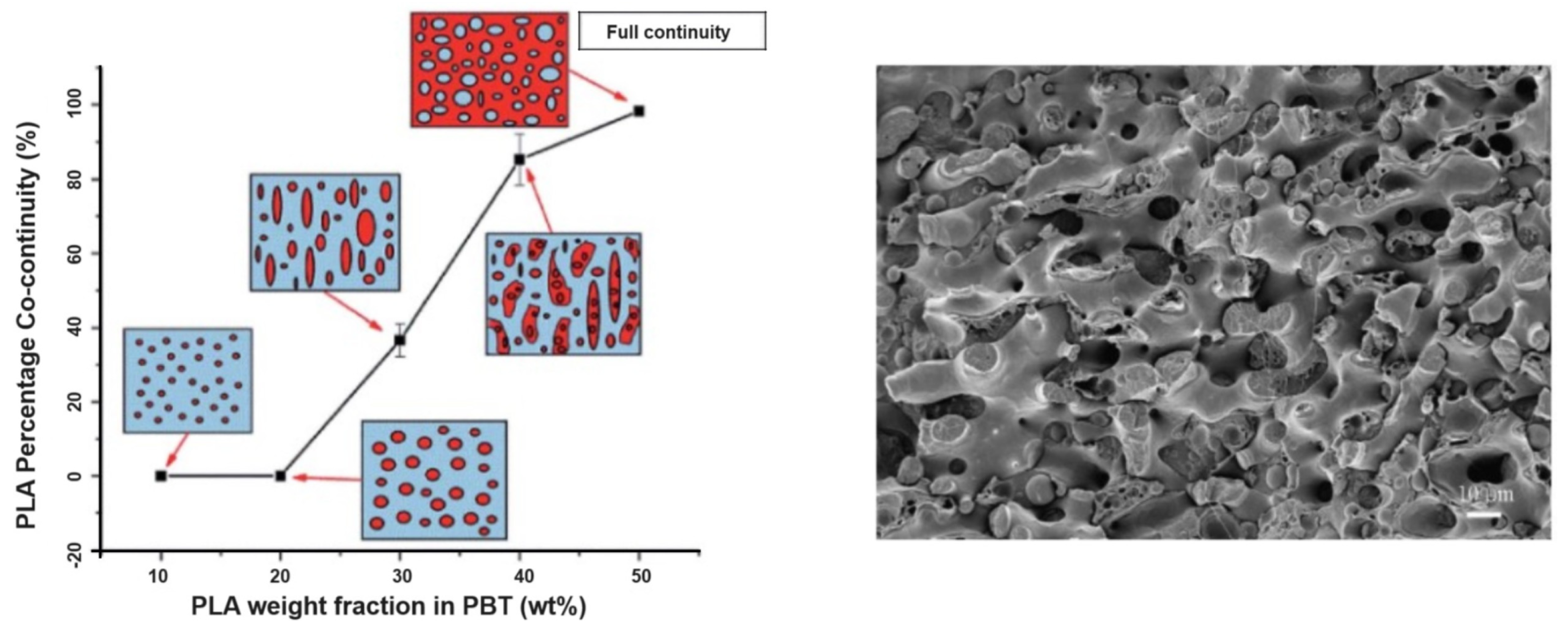Polymers 16 01776 g015