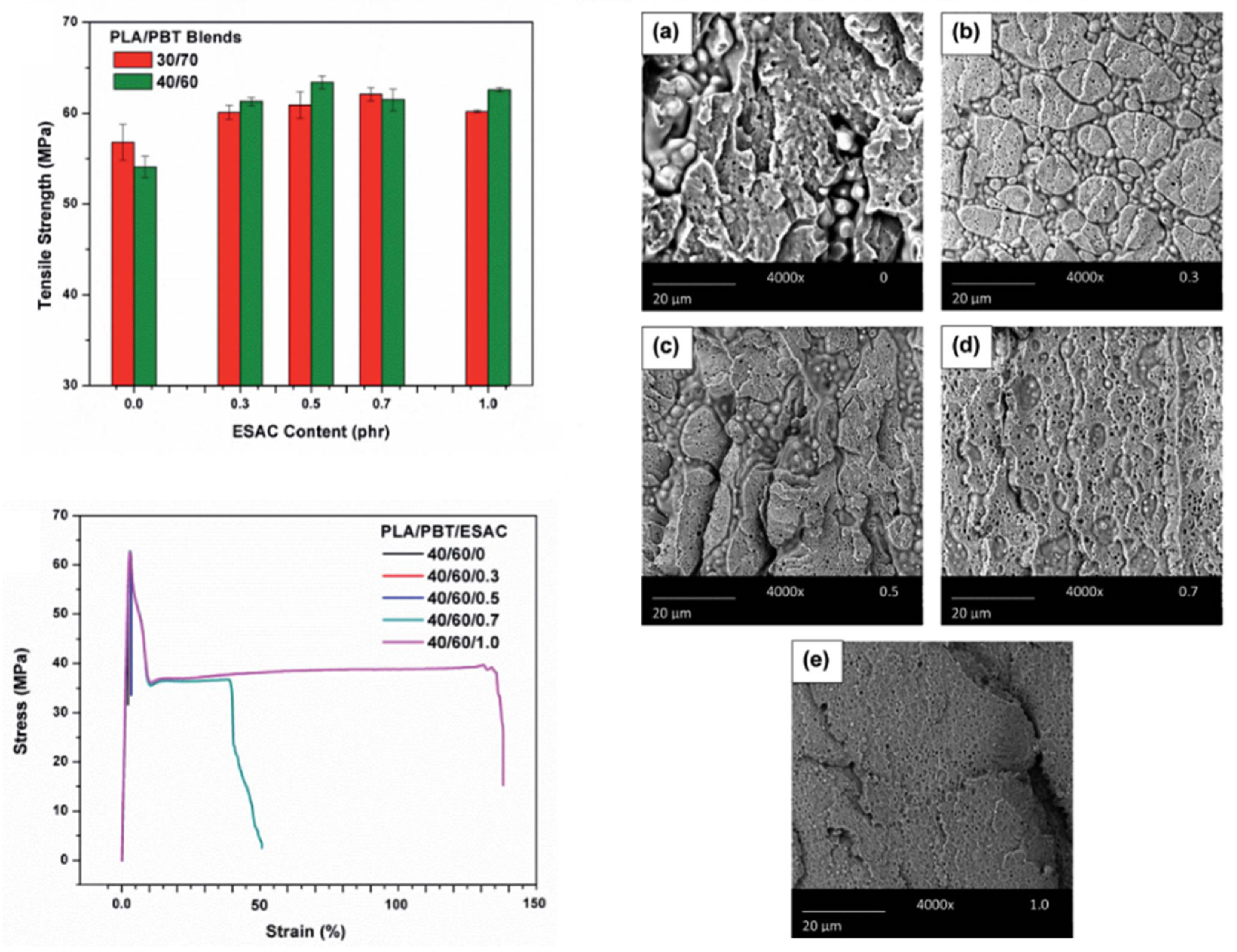 Polymers 16 01776 g016