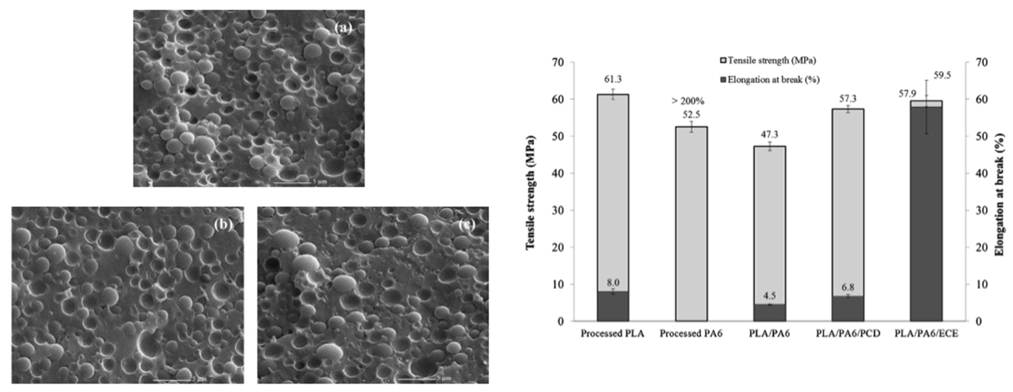 Polymers 16 01776 g017