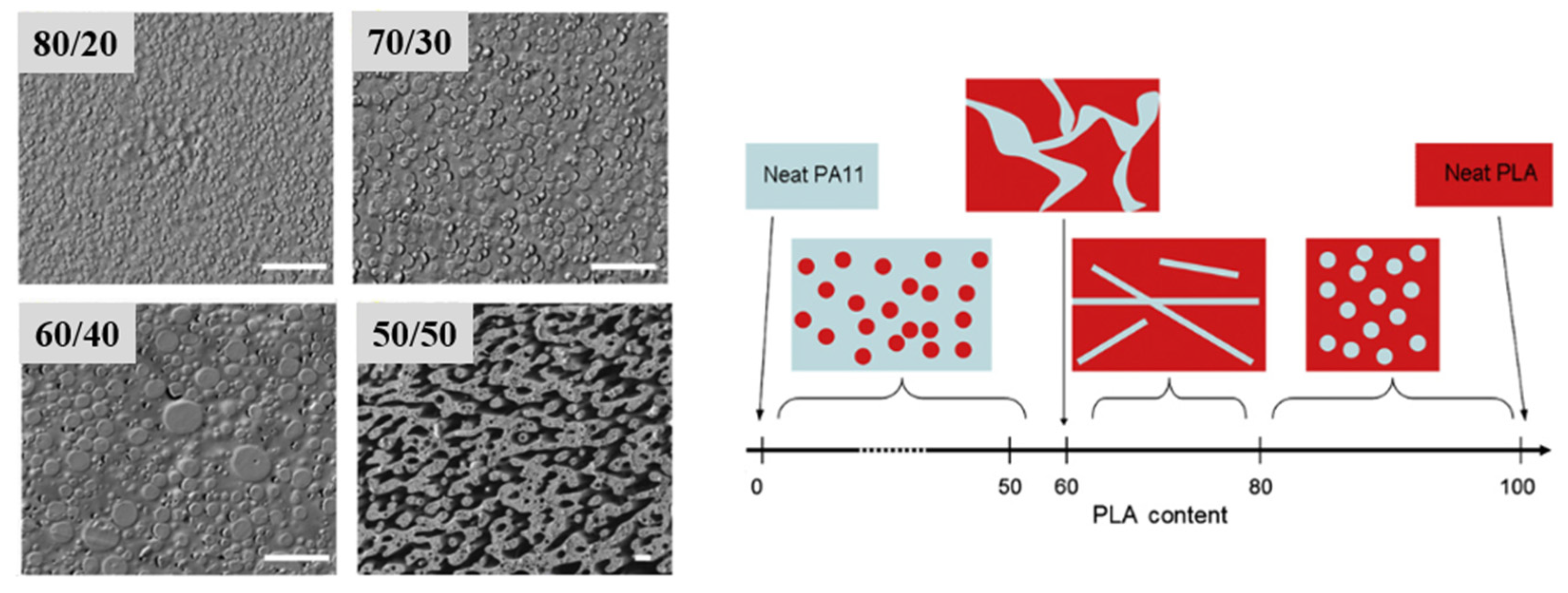 Polymers 16 01776 g019