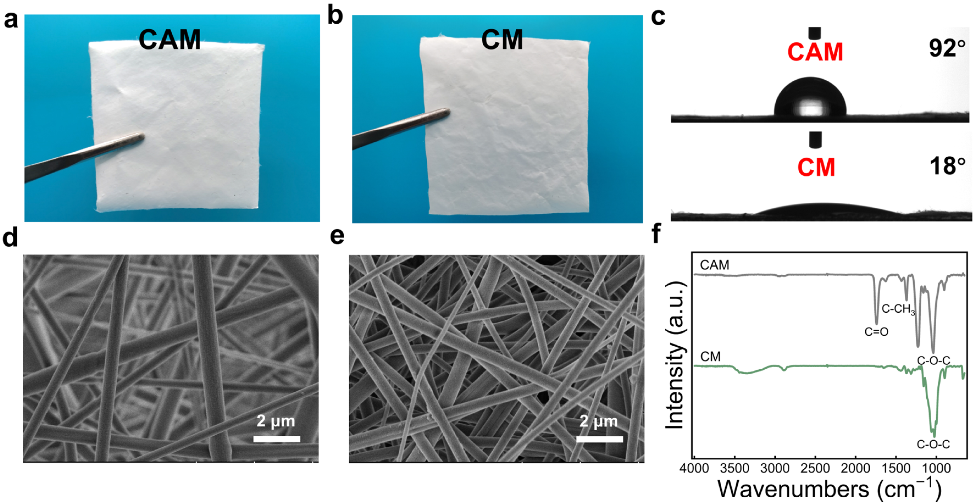 Polymers 16 01784 g002