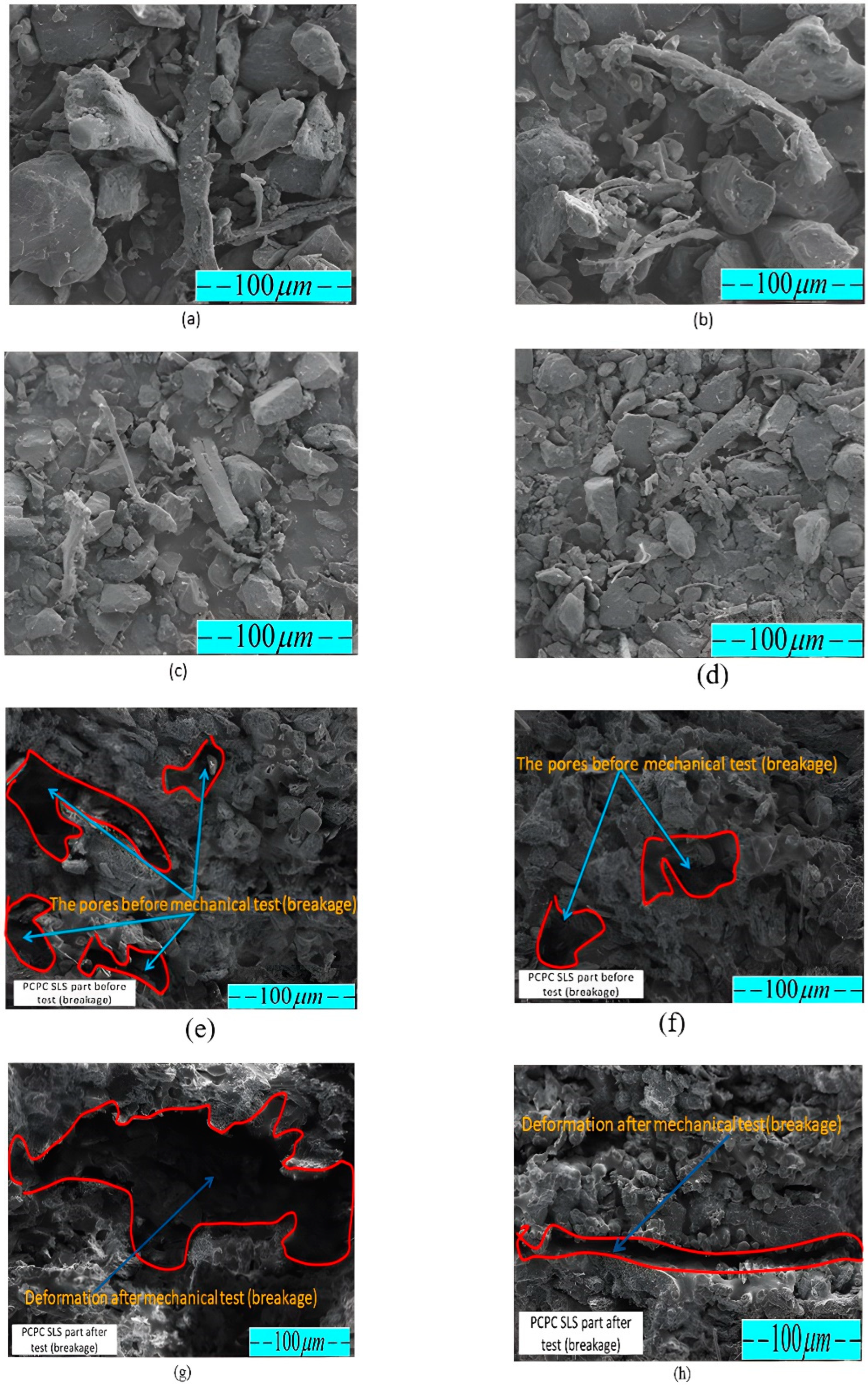 Polymers 16 01786 g011