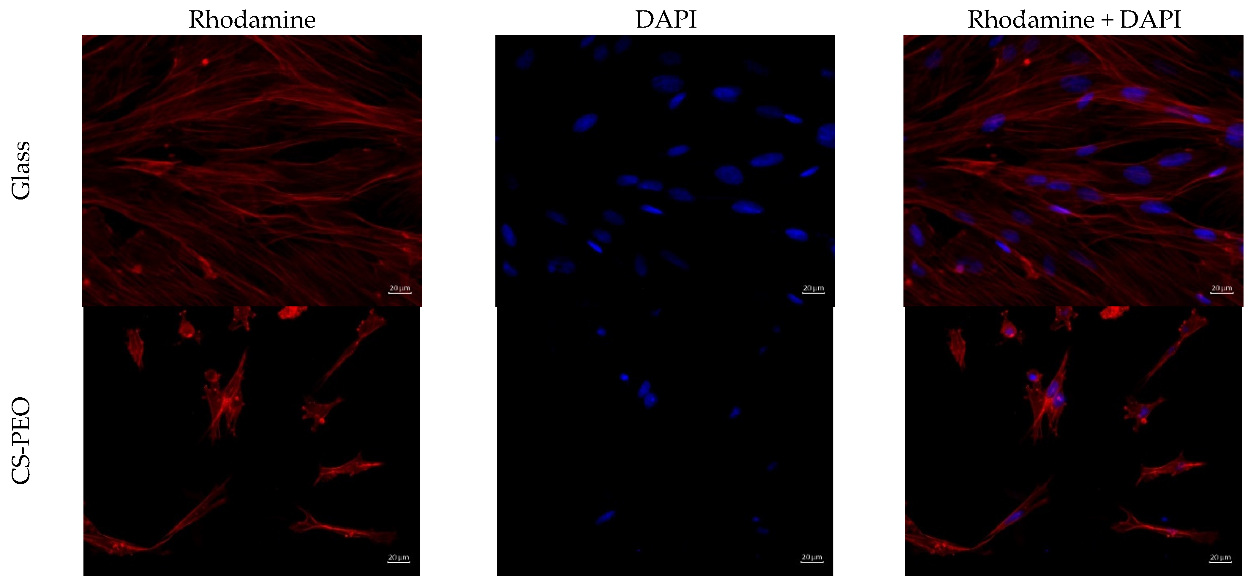 Polymers 16 01787 g006a