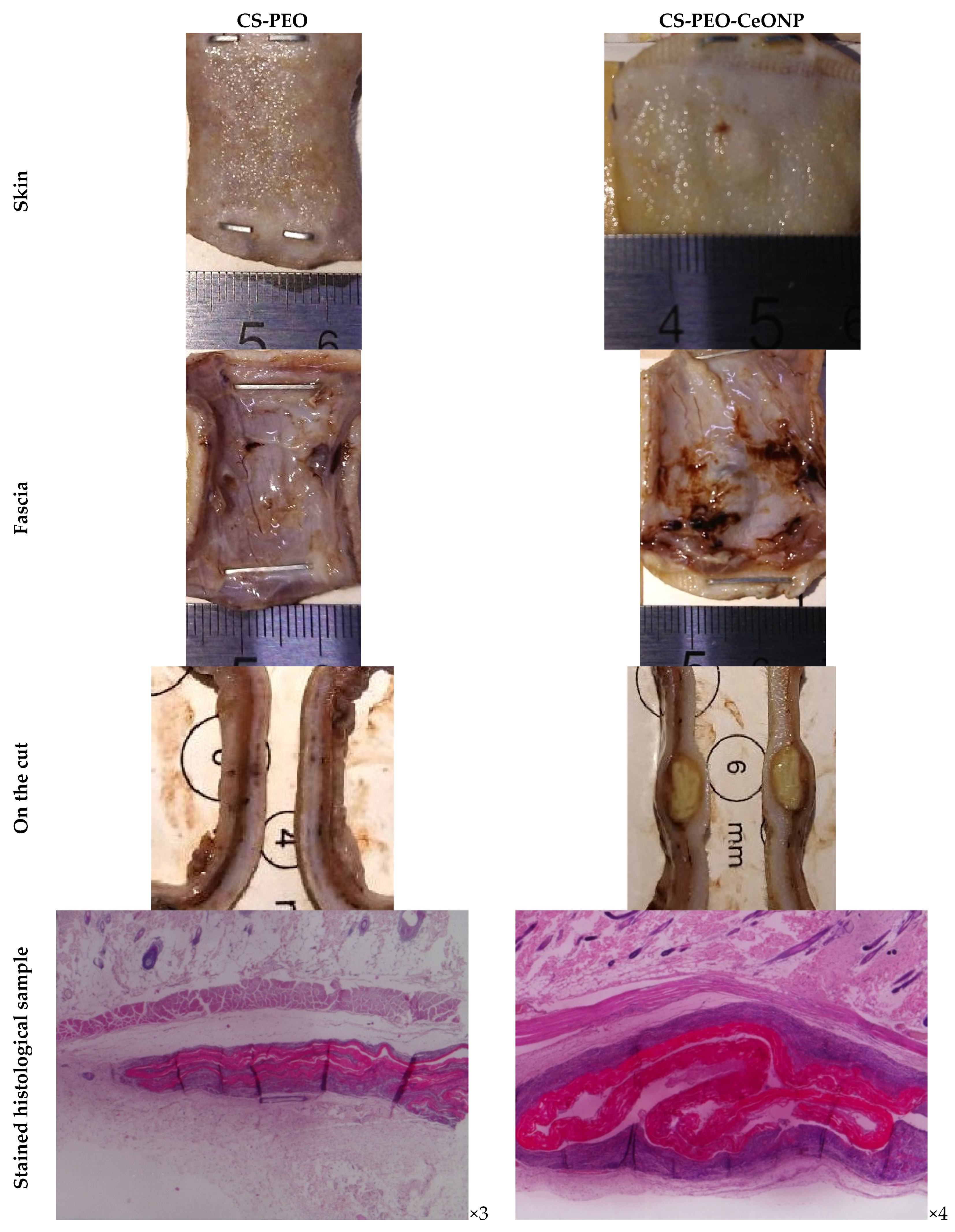 Polymers 16 01787 g008