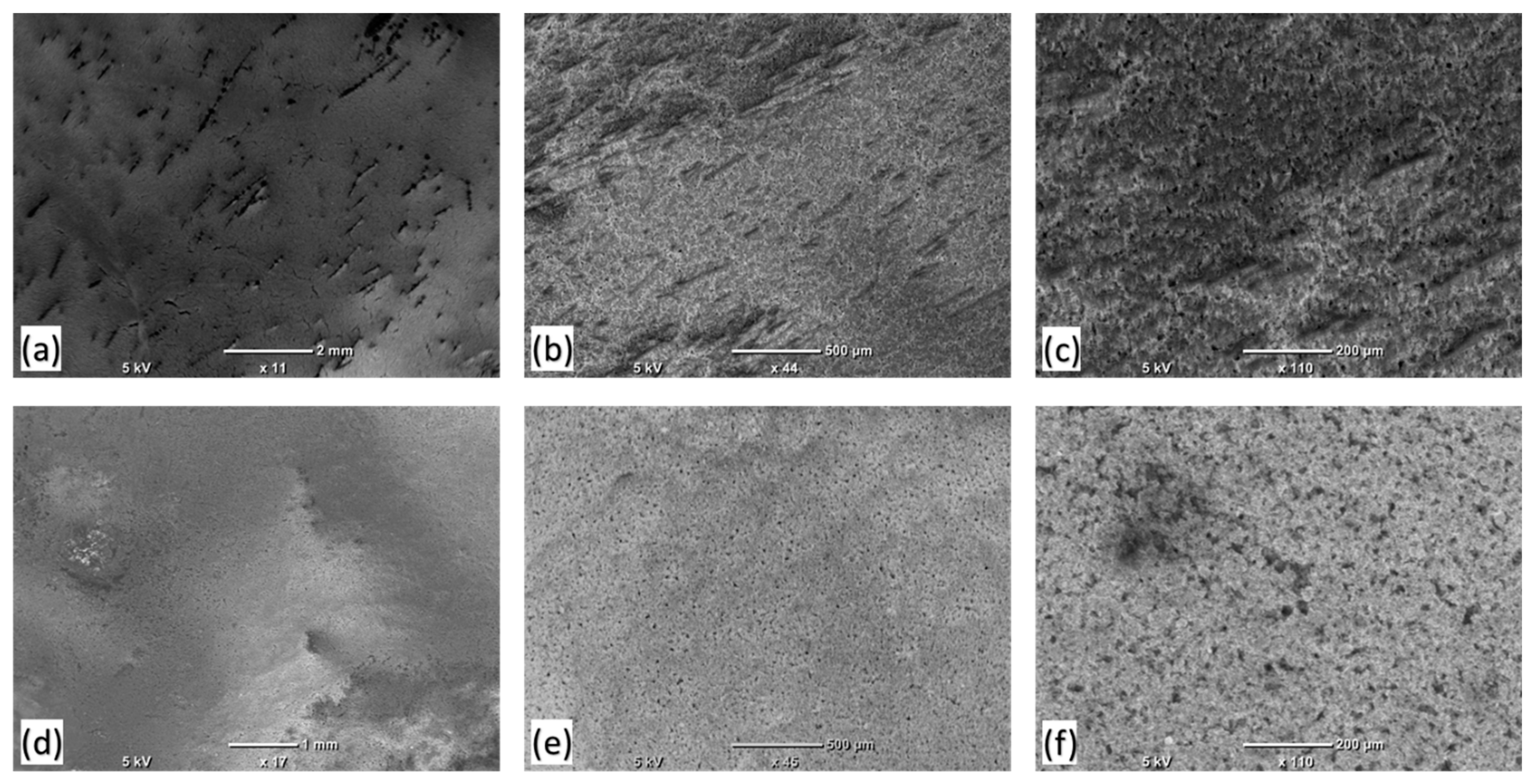 Polymers 16 01791 g004