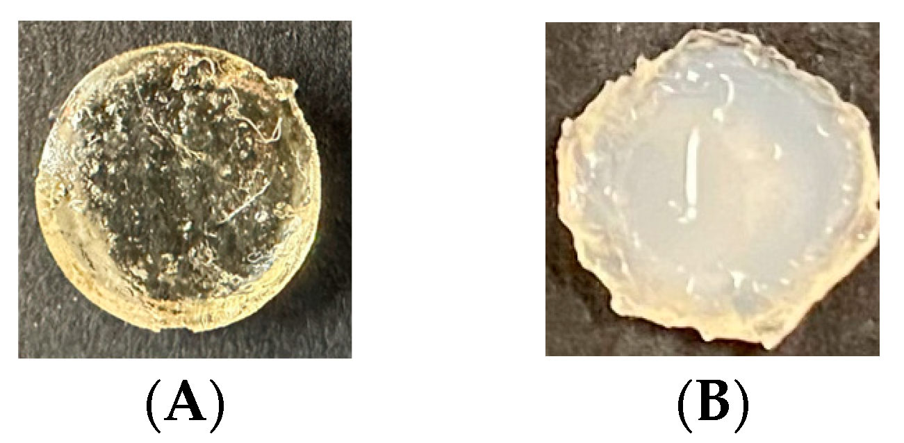 Polymers 16 01797 g004