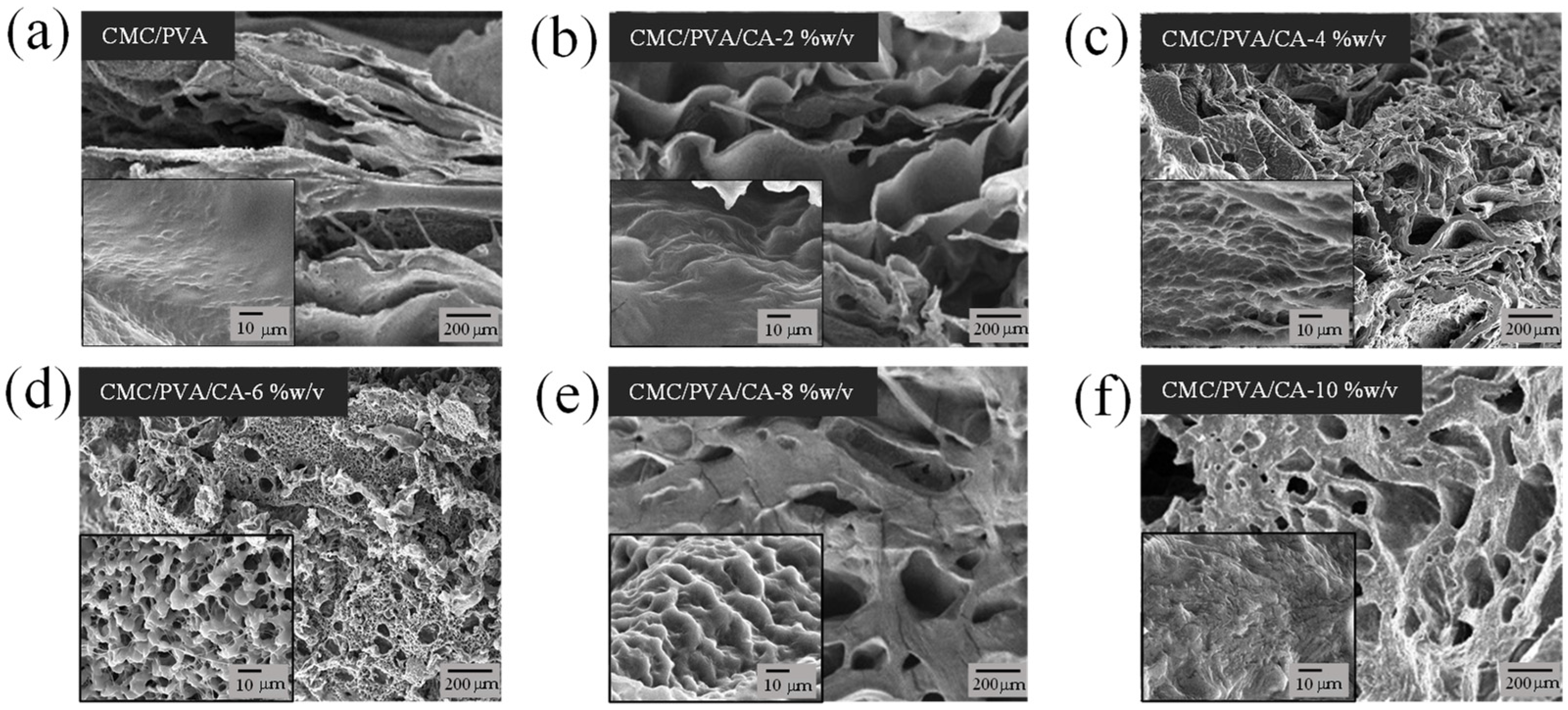 Polymers 16 01798 g003