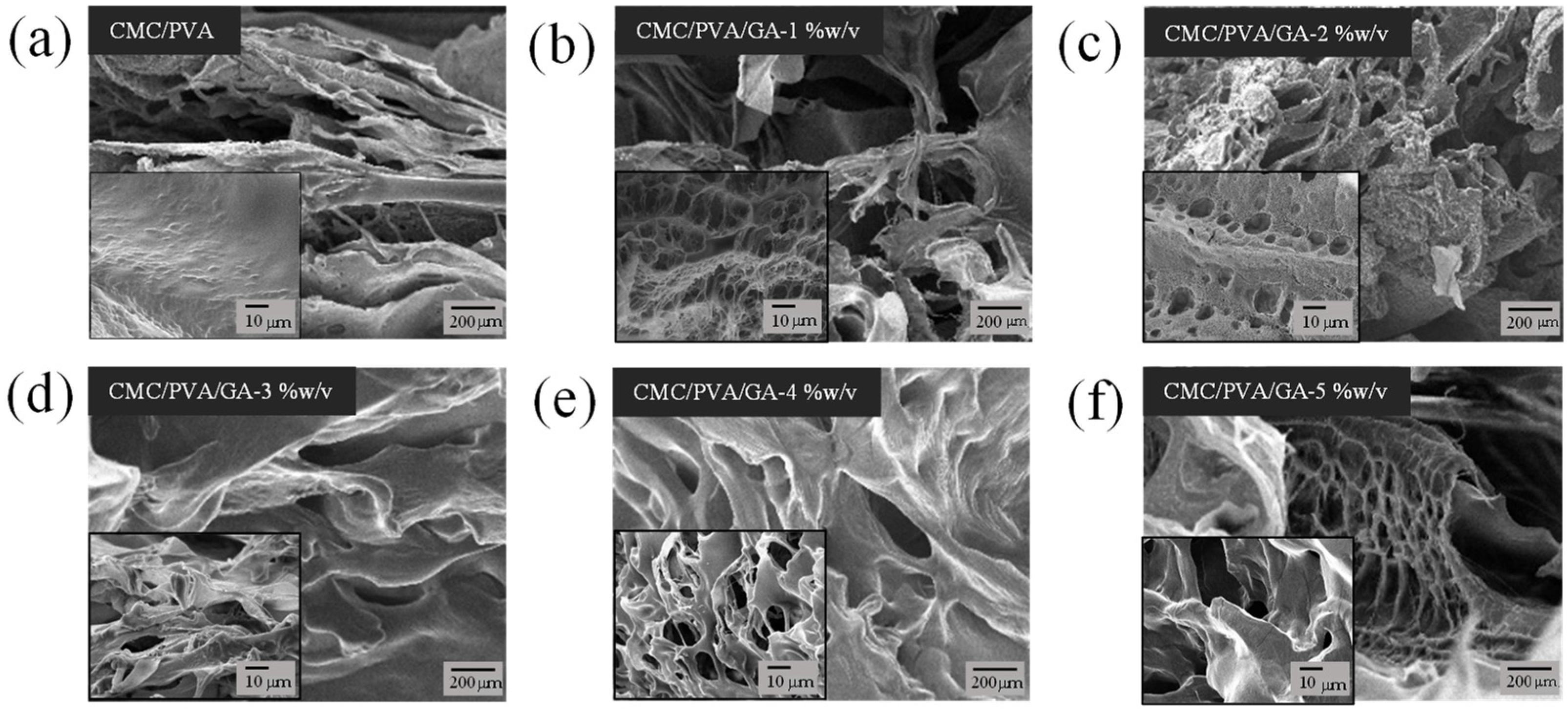 Polymers 16 01798 g004