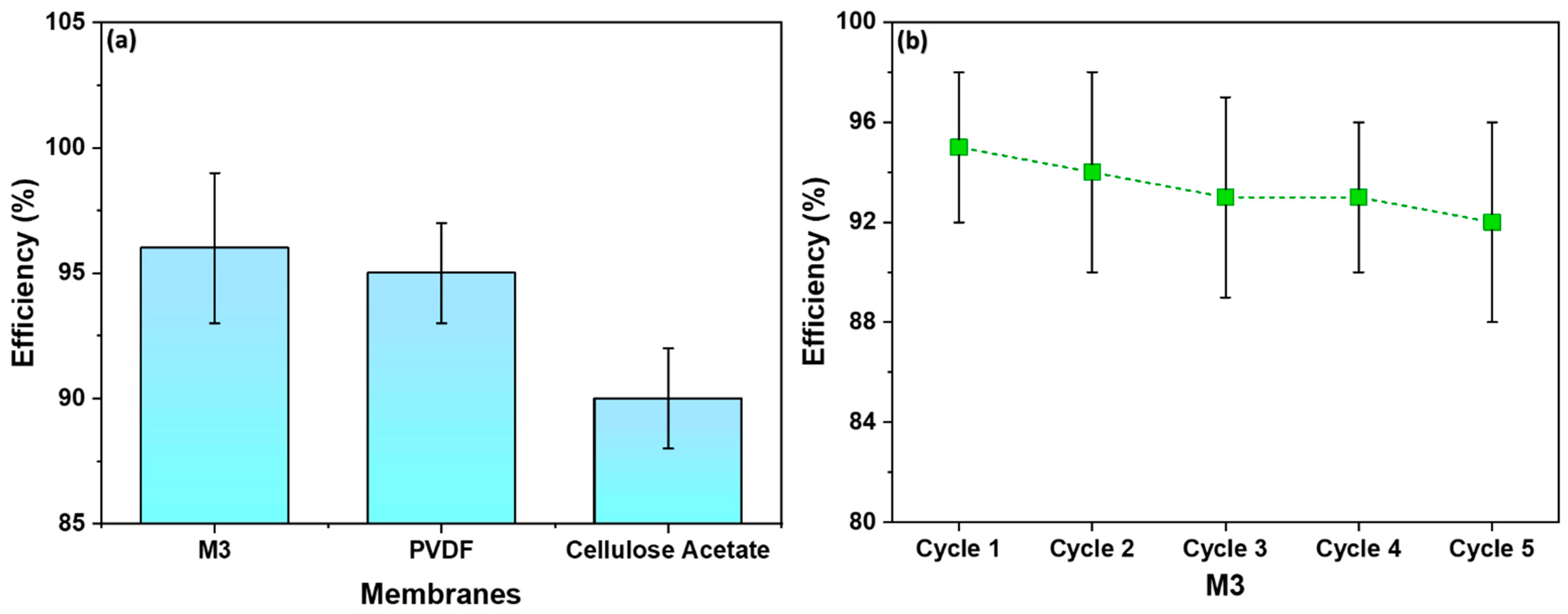 Polymers 16 01799 g011