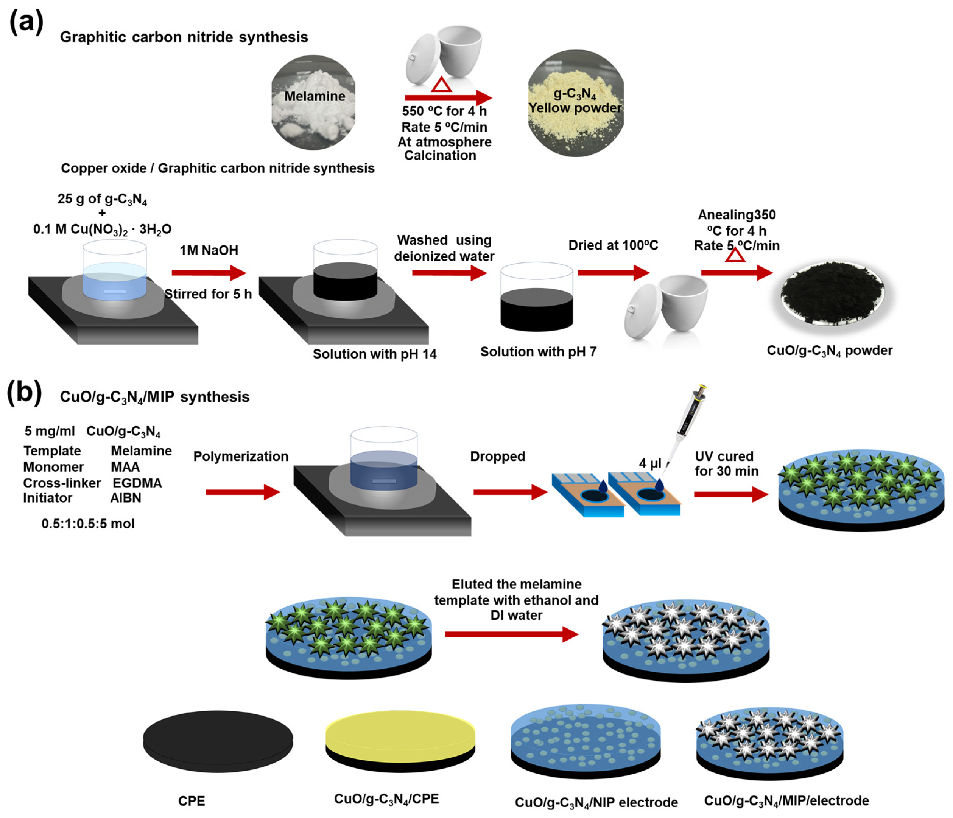Polymers 16 01800 g001