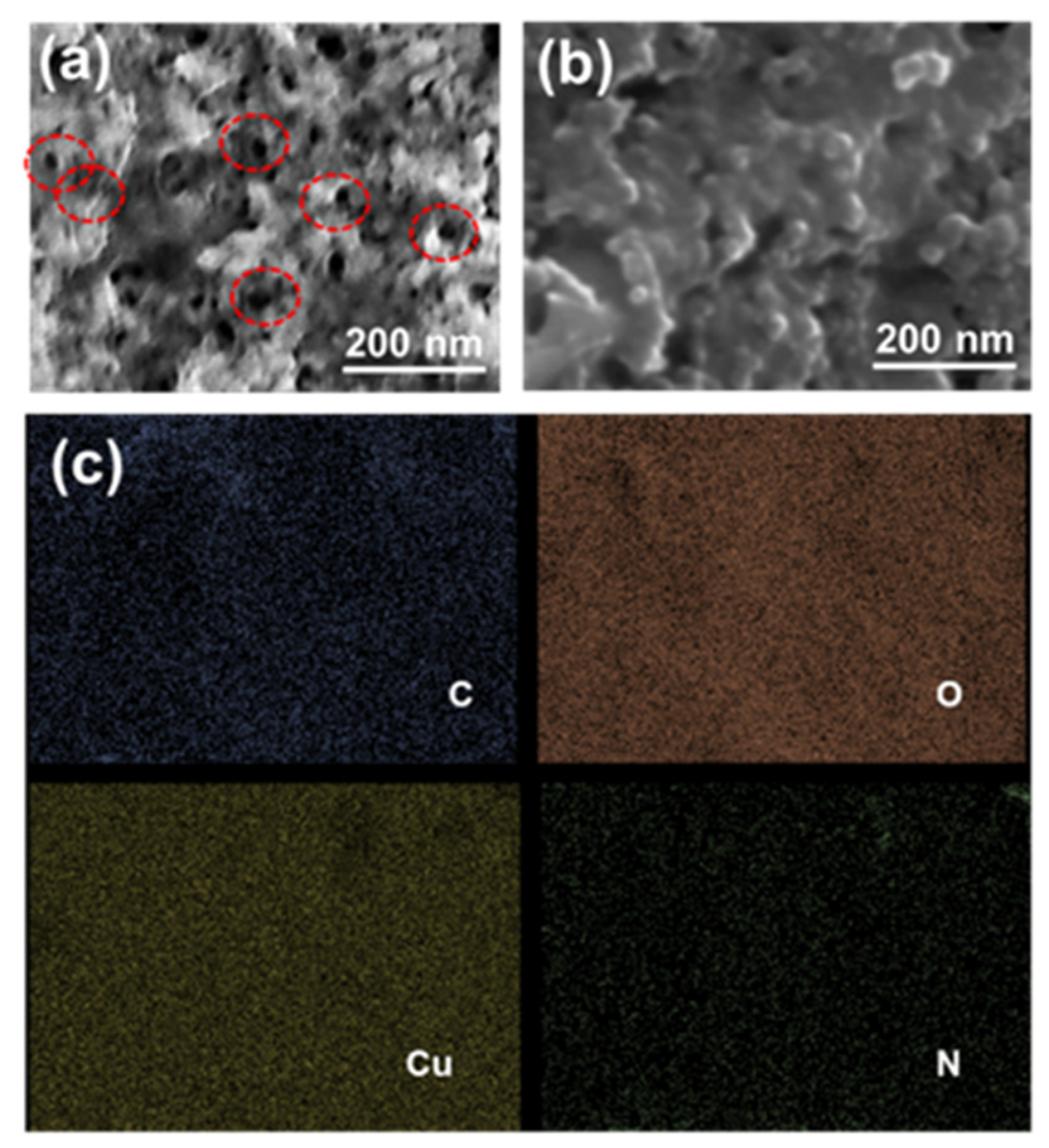 Polymers 16 01800 g007