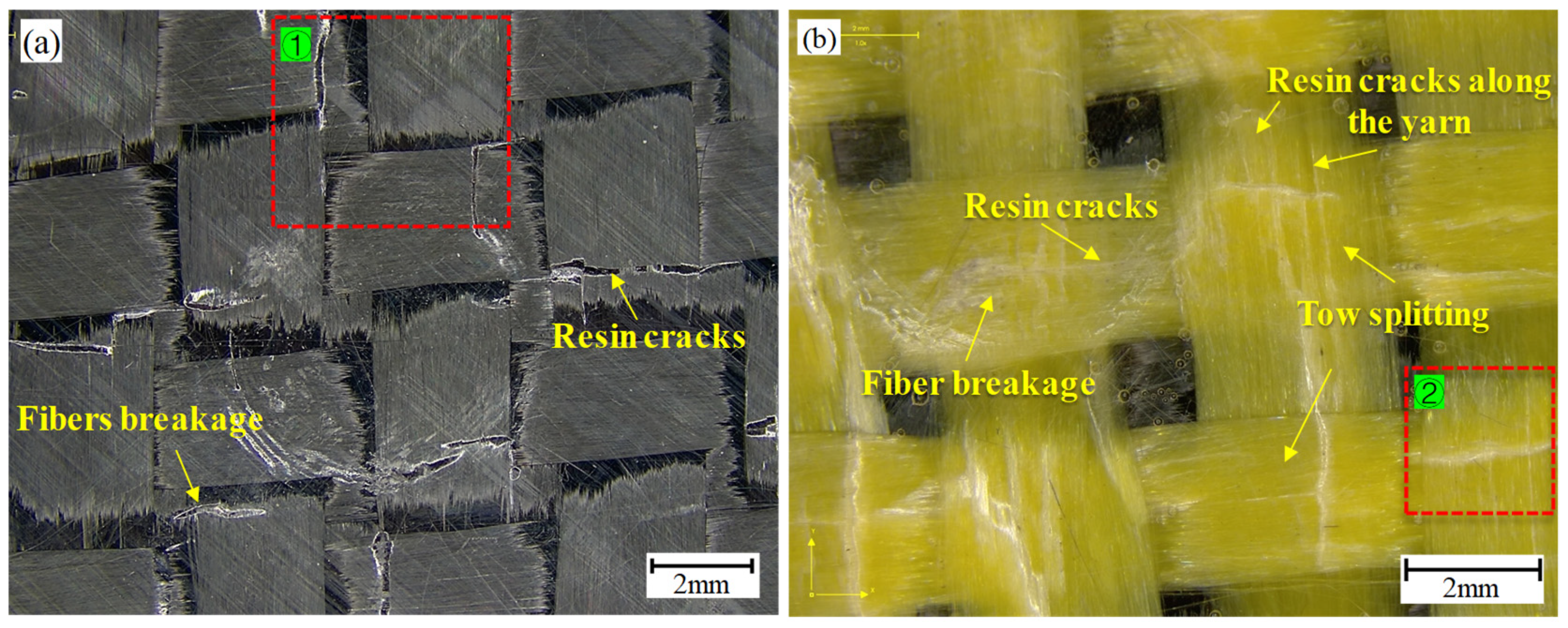 Polymers 16 01801 g007a