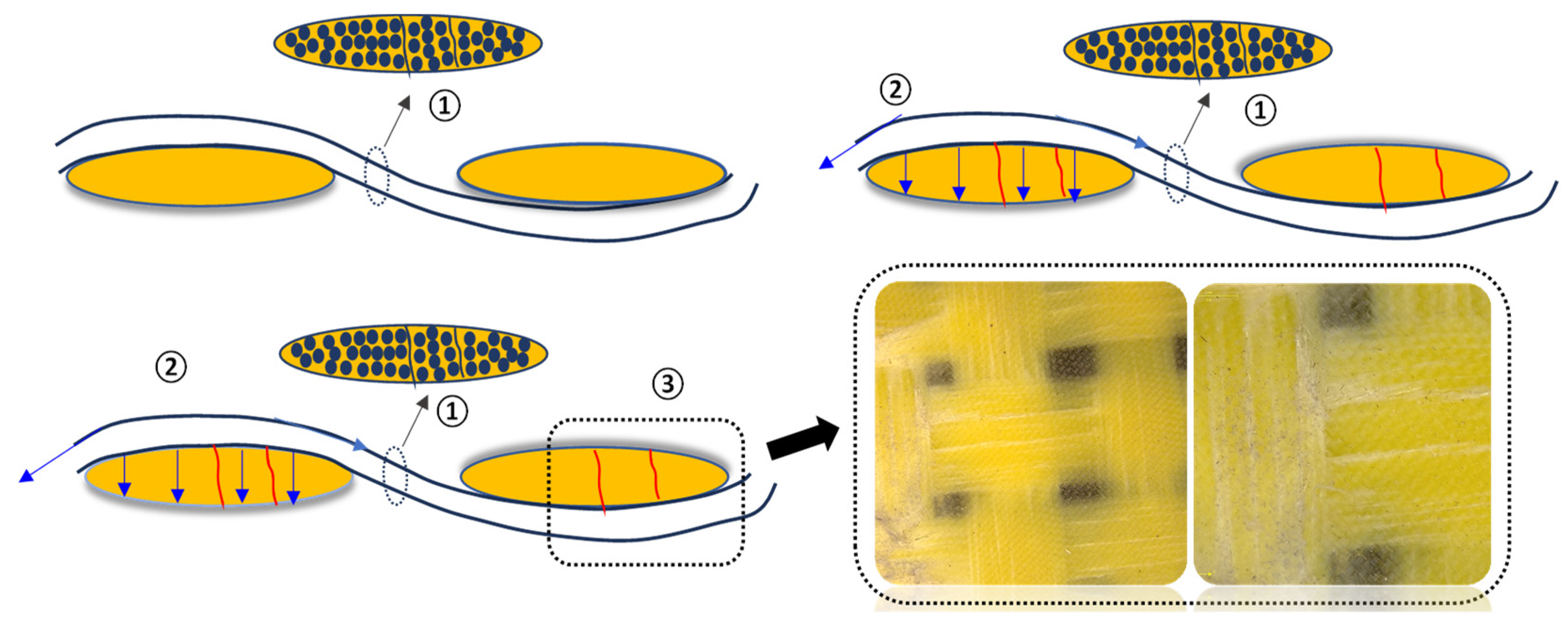 Polymers 16 01801 g008