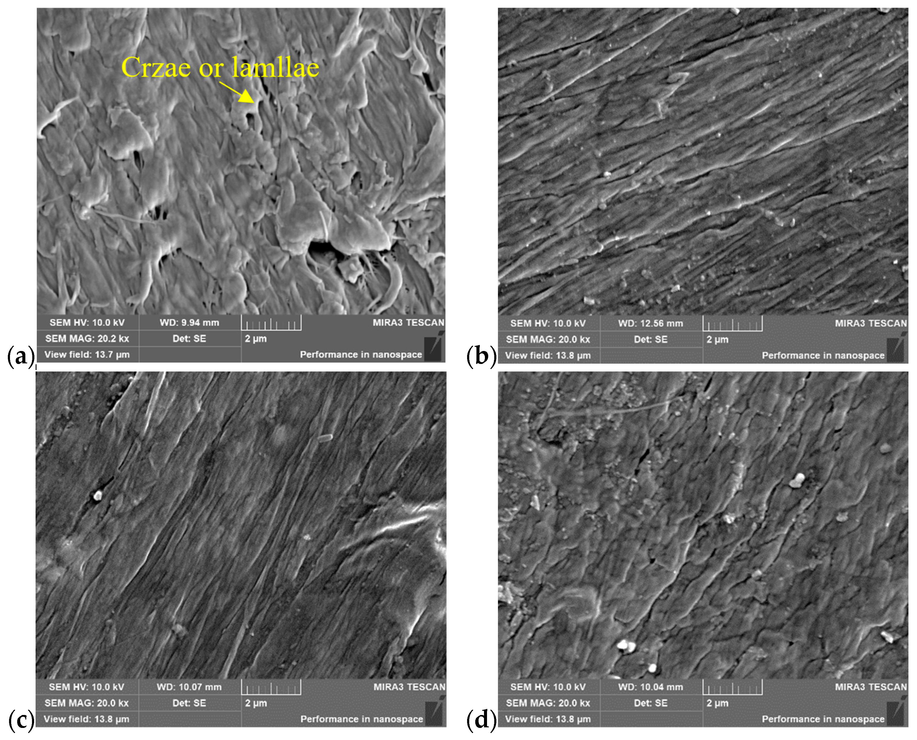 Polymers 16 01803 g004