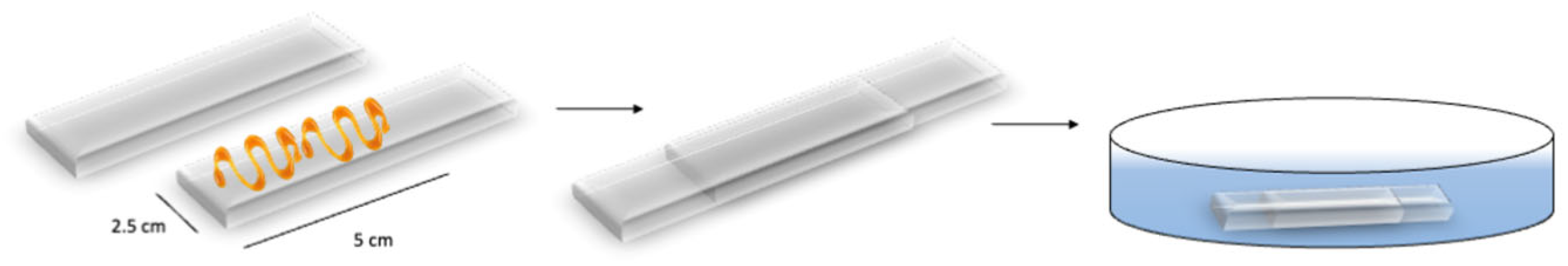 Polymers 16 01806 sch001