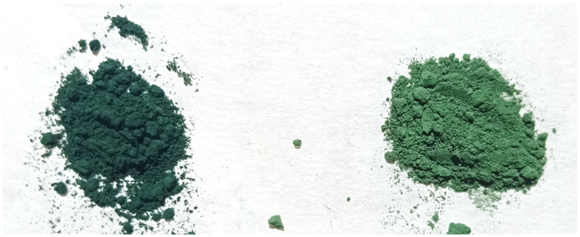 Polymers 16 01807 g001