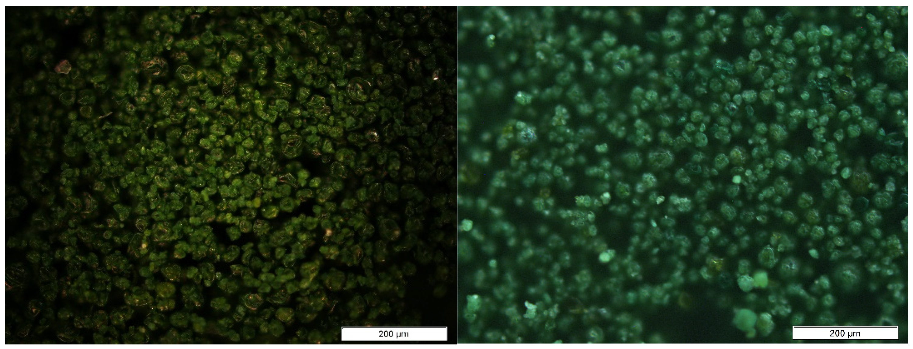Polymers 16 01807 g002