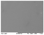 Polymers 16 01811 i001